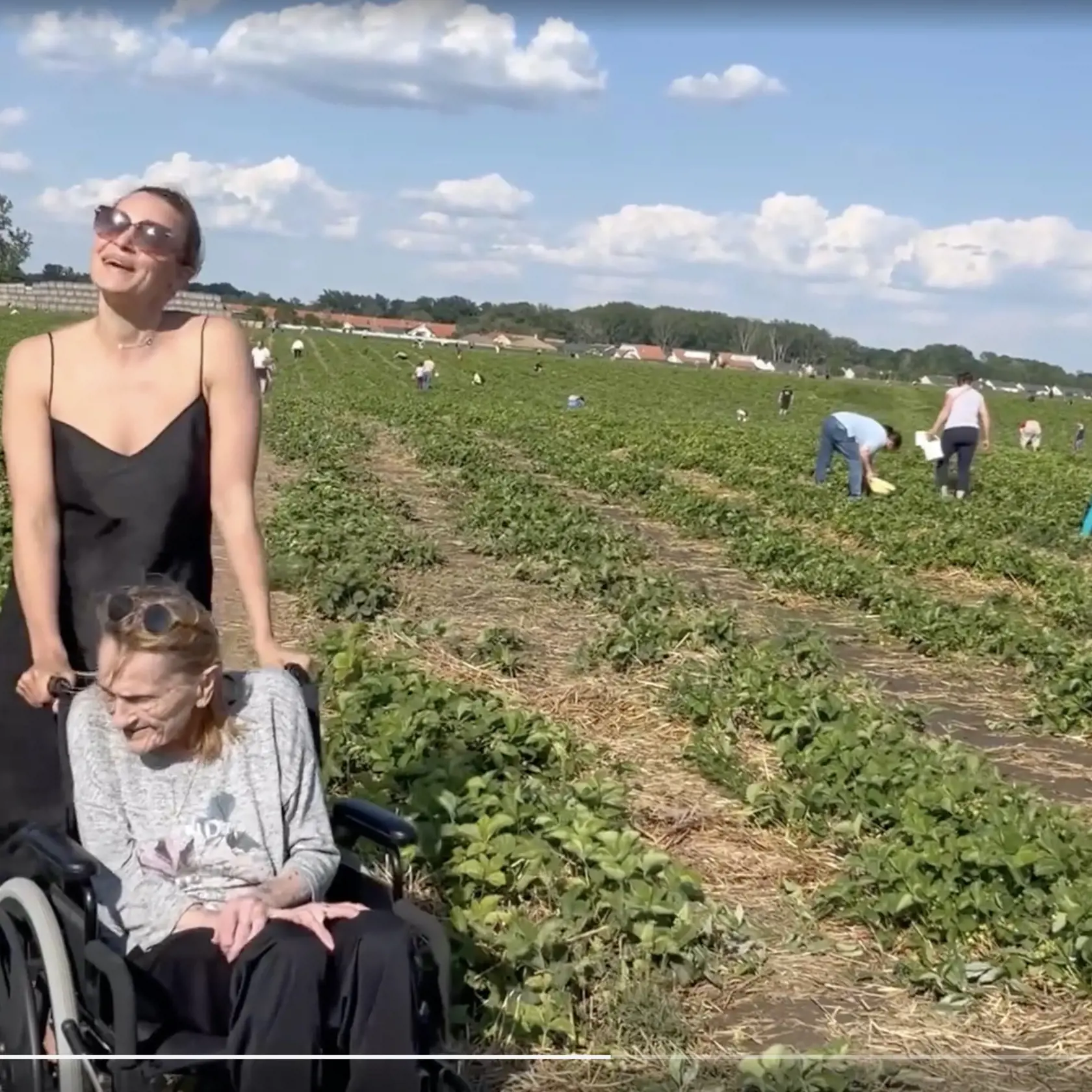 Tabák s babkou Evou si nazbierali dva plné košíky jahôd.