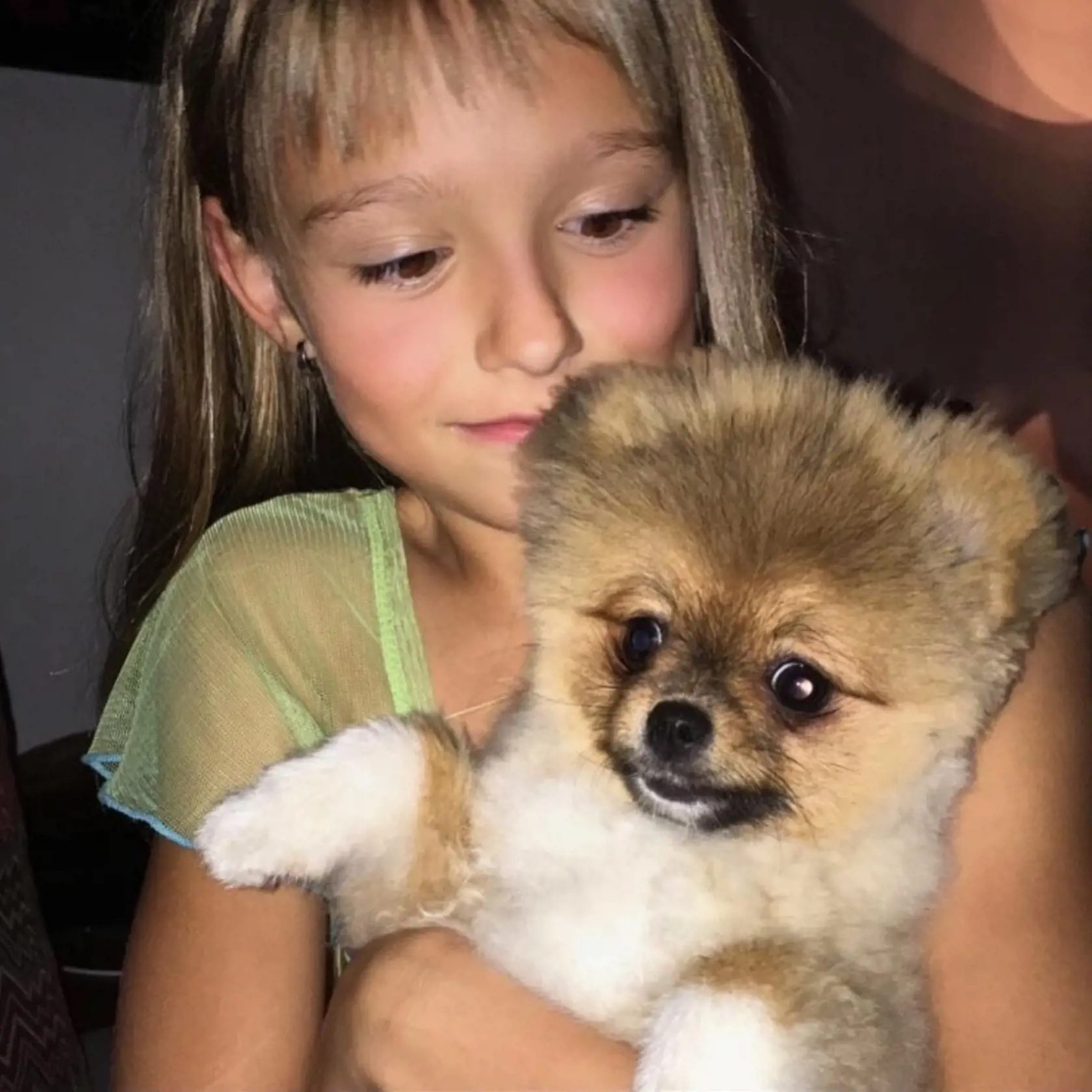 Lola rastie ako z vody: Z dcéry Dary Rolins je už riadne veľká slečna!