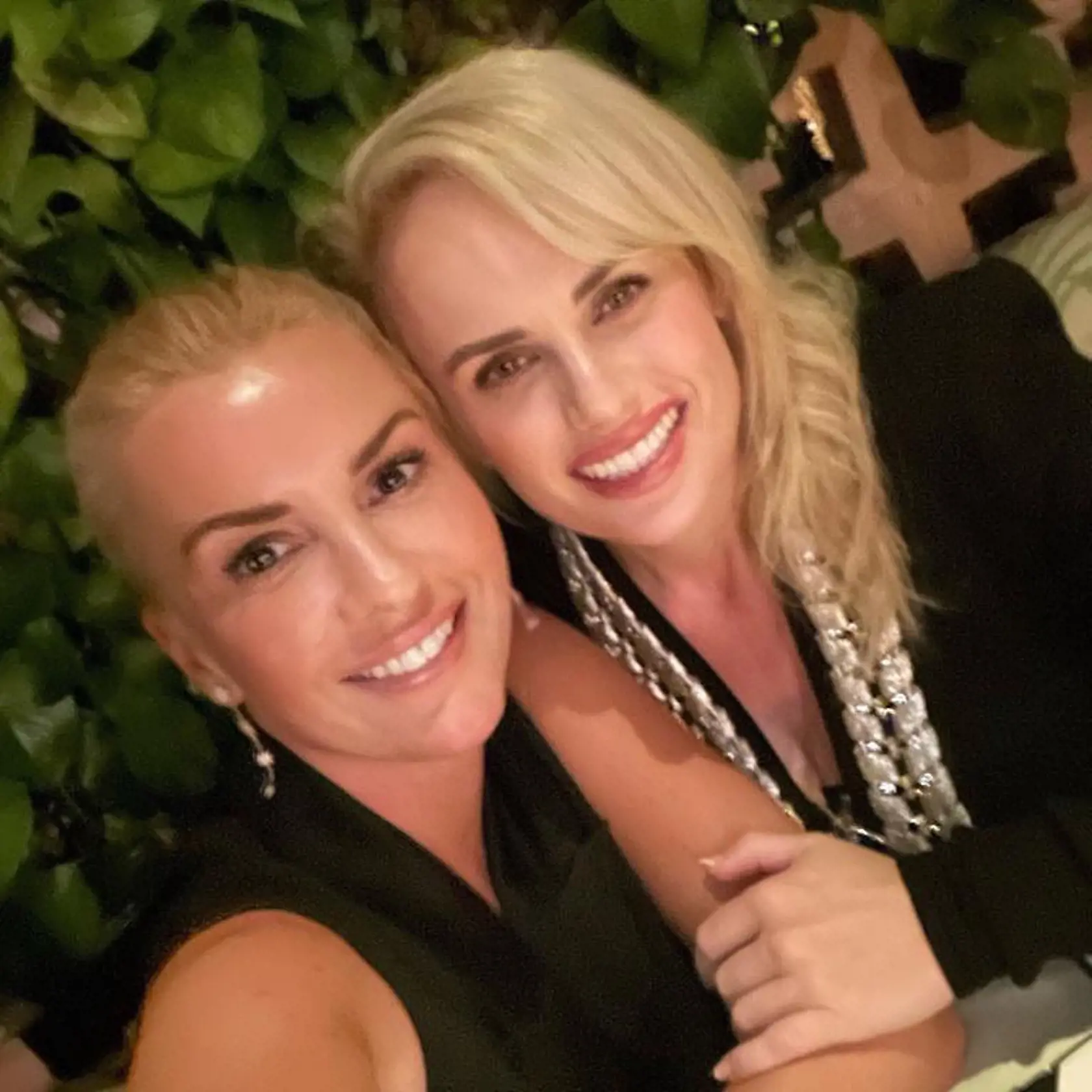 Rebel Wilson so svojou partnerkou