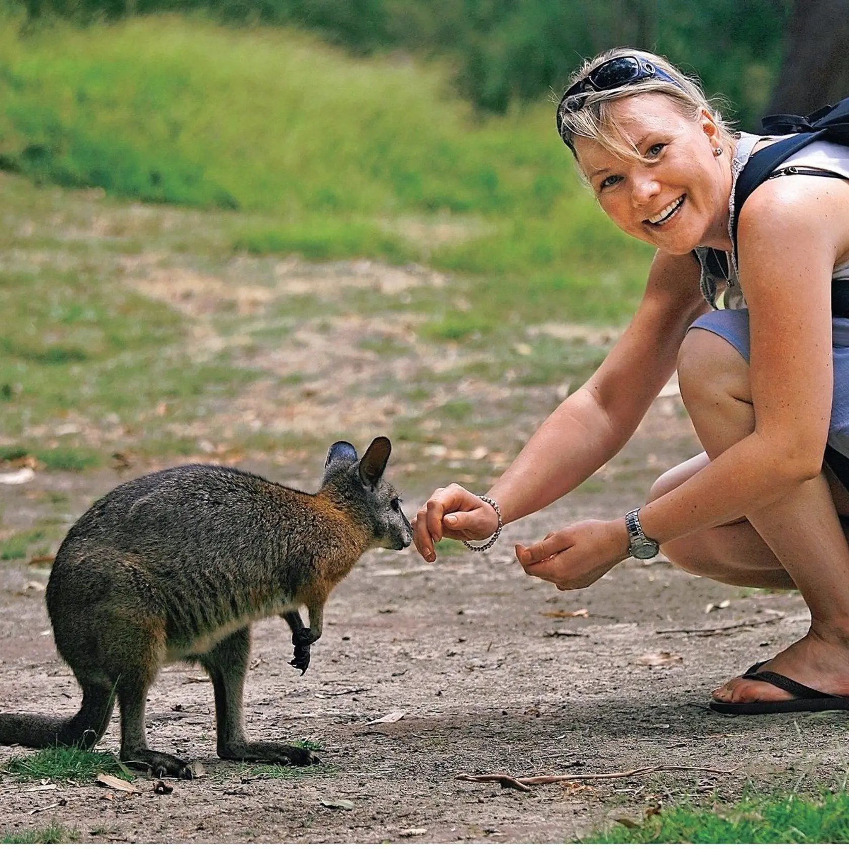 V Austrálii videla divé zvieratá zatiaľ len v zoo.
