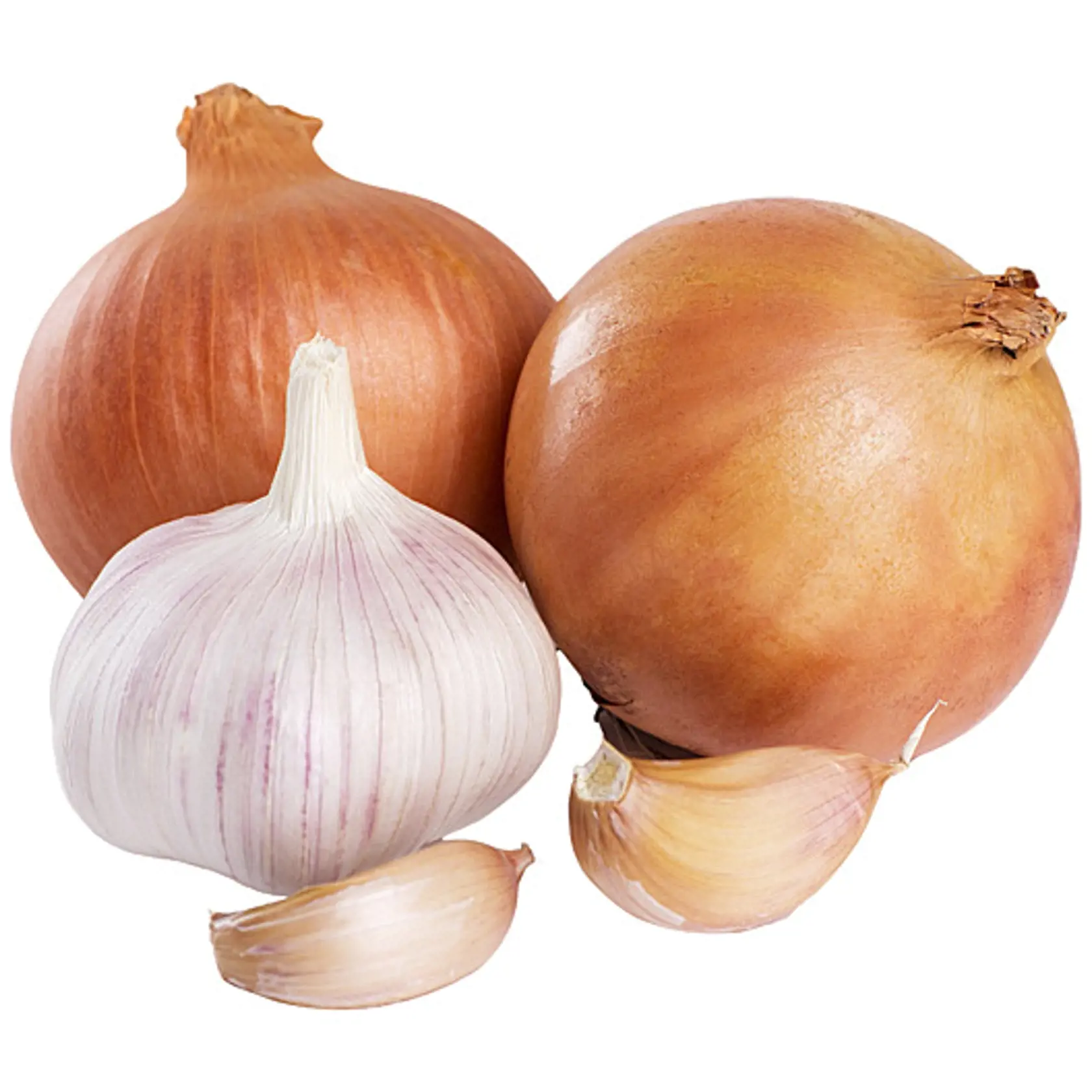 Skladovanie cibule
a cesnaku