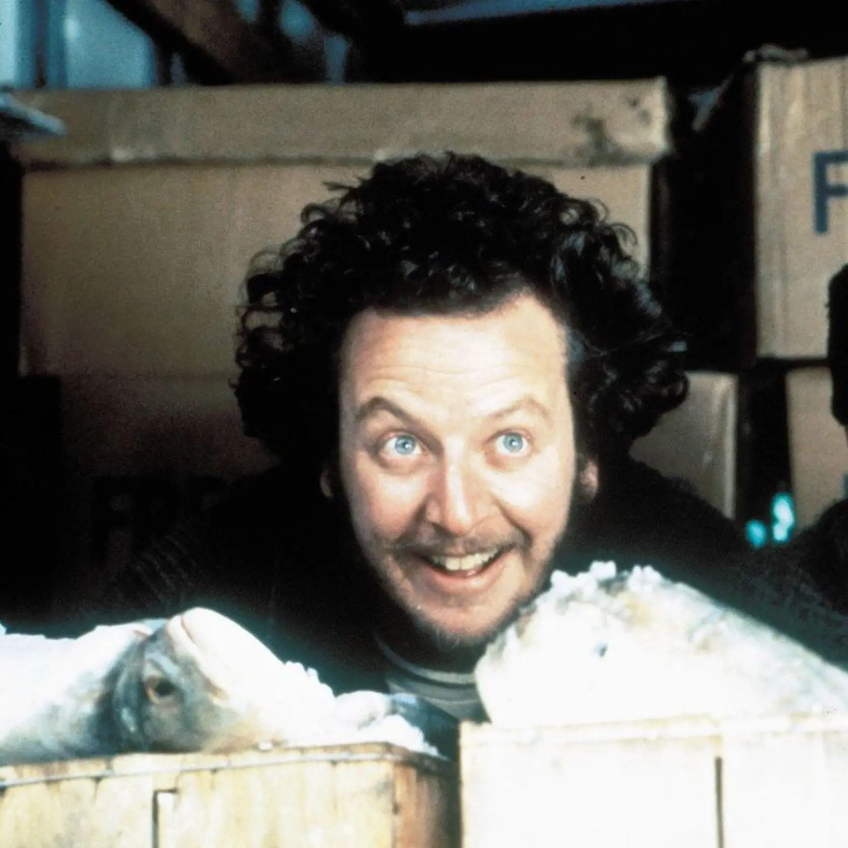 Filmový herec Daniel Stern si zahral zlodeja komédii Sám doma.