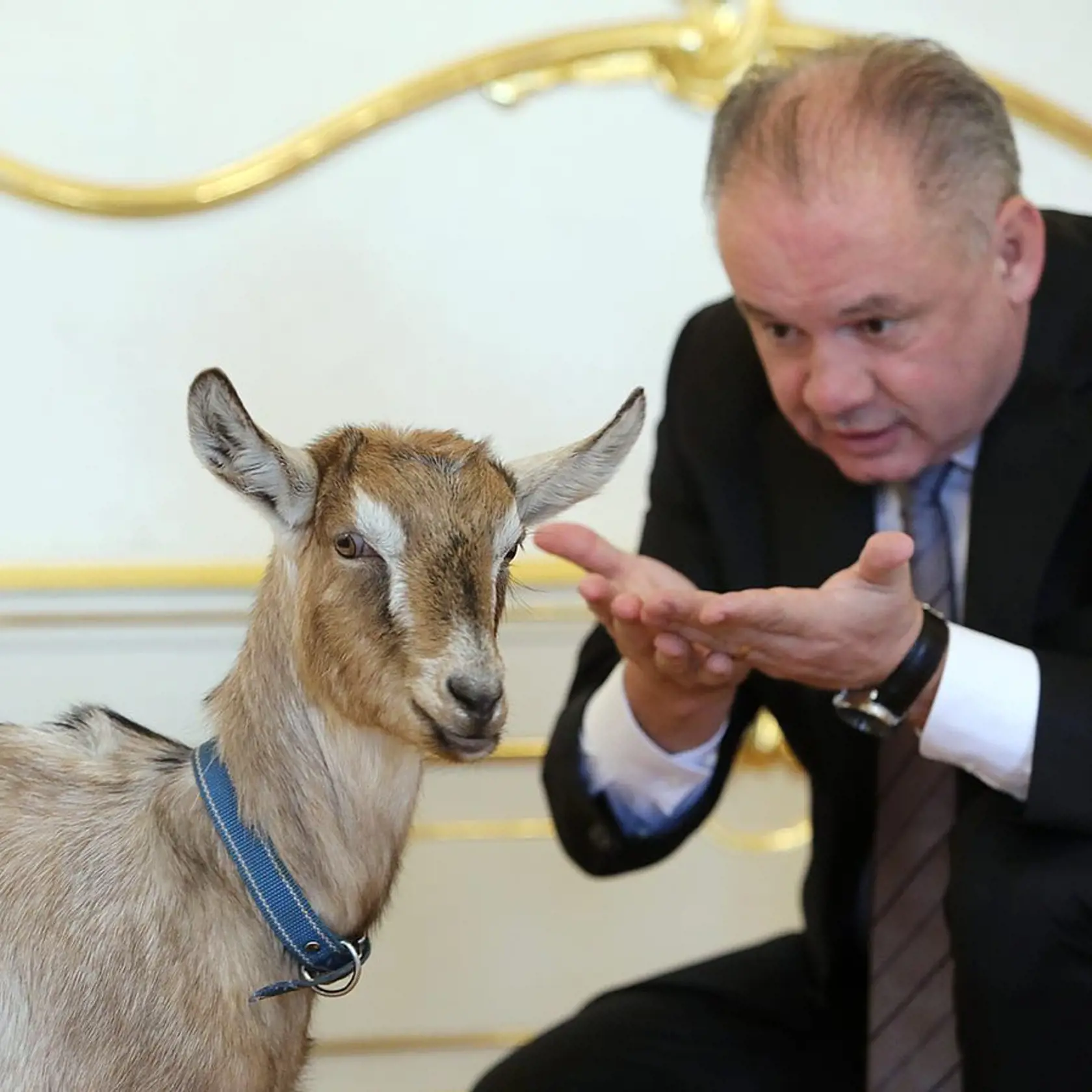 Andrej Kiska avizoval svoj novoročný prejav.