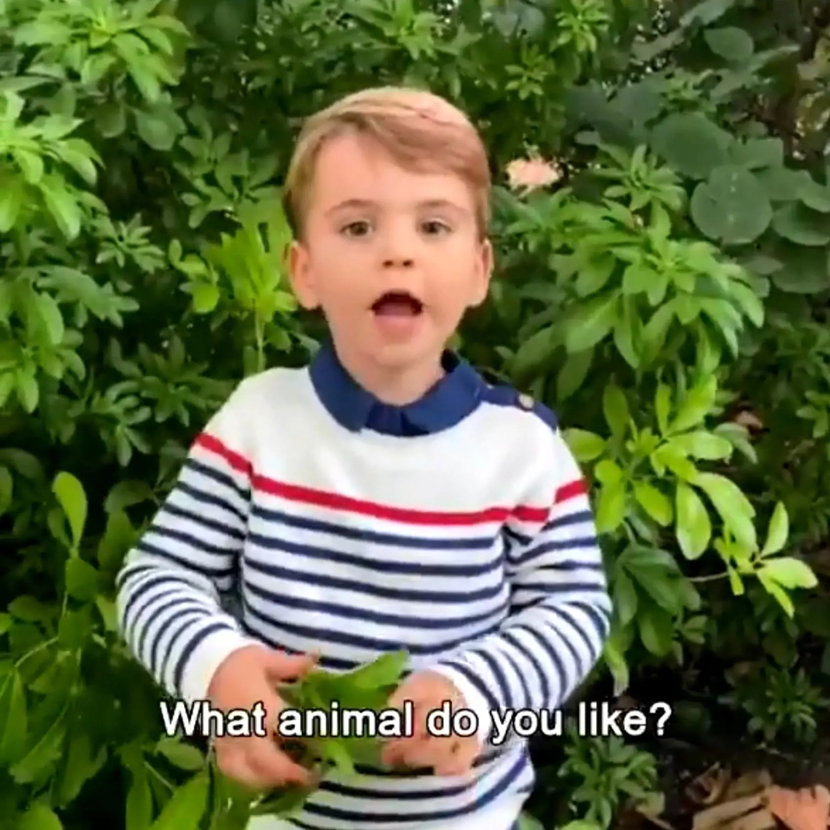 Princa je videu počuť prvýkrát hovoríť.