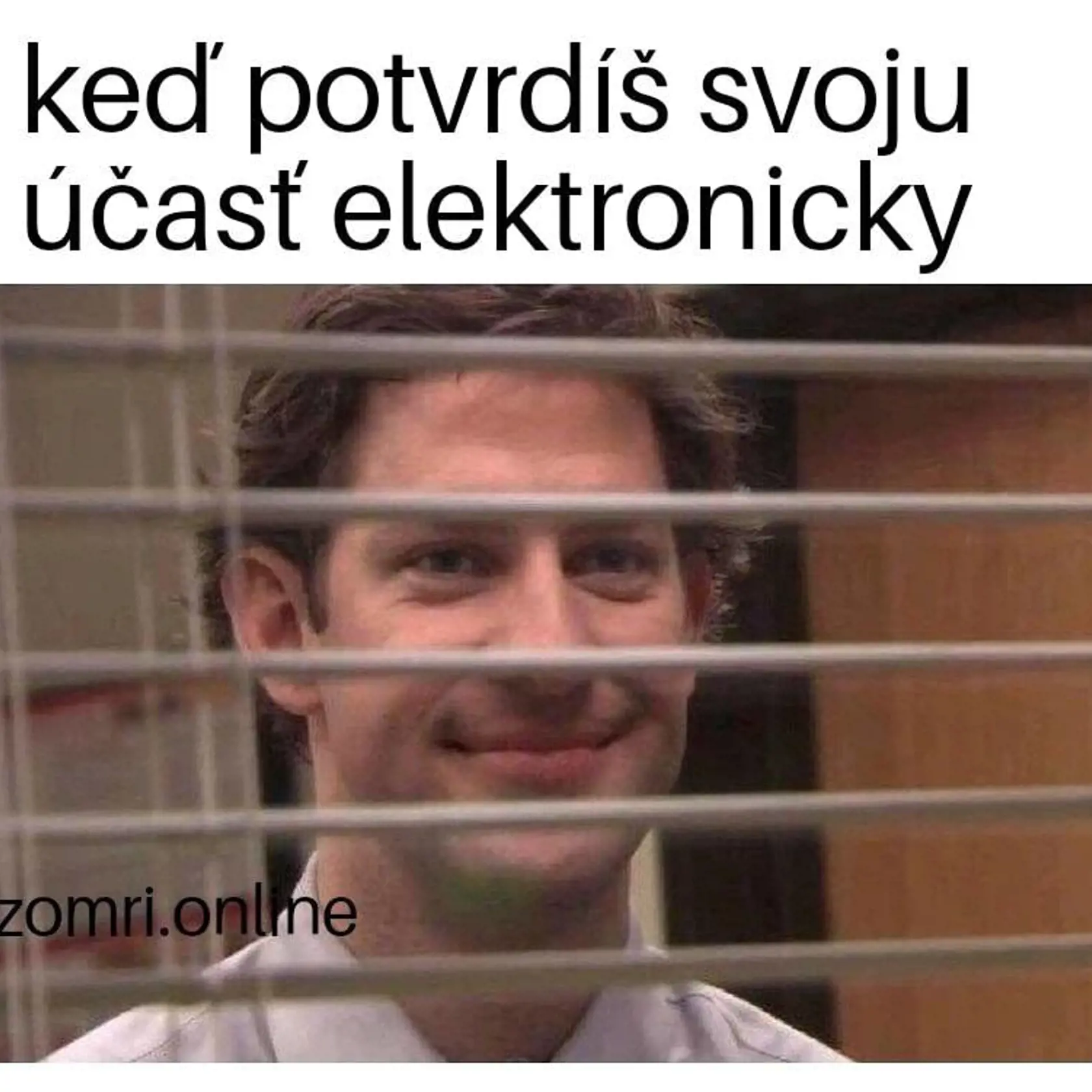 Jedine inžinier Ostrožnický na zasadnutí obecného zastupiteľstva potvrdil svoju účasť. Aj to mu však nestačilo na to, aby sa stal zapisovateľom, lebo vraj nevie dobre písať na počítači.