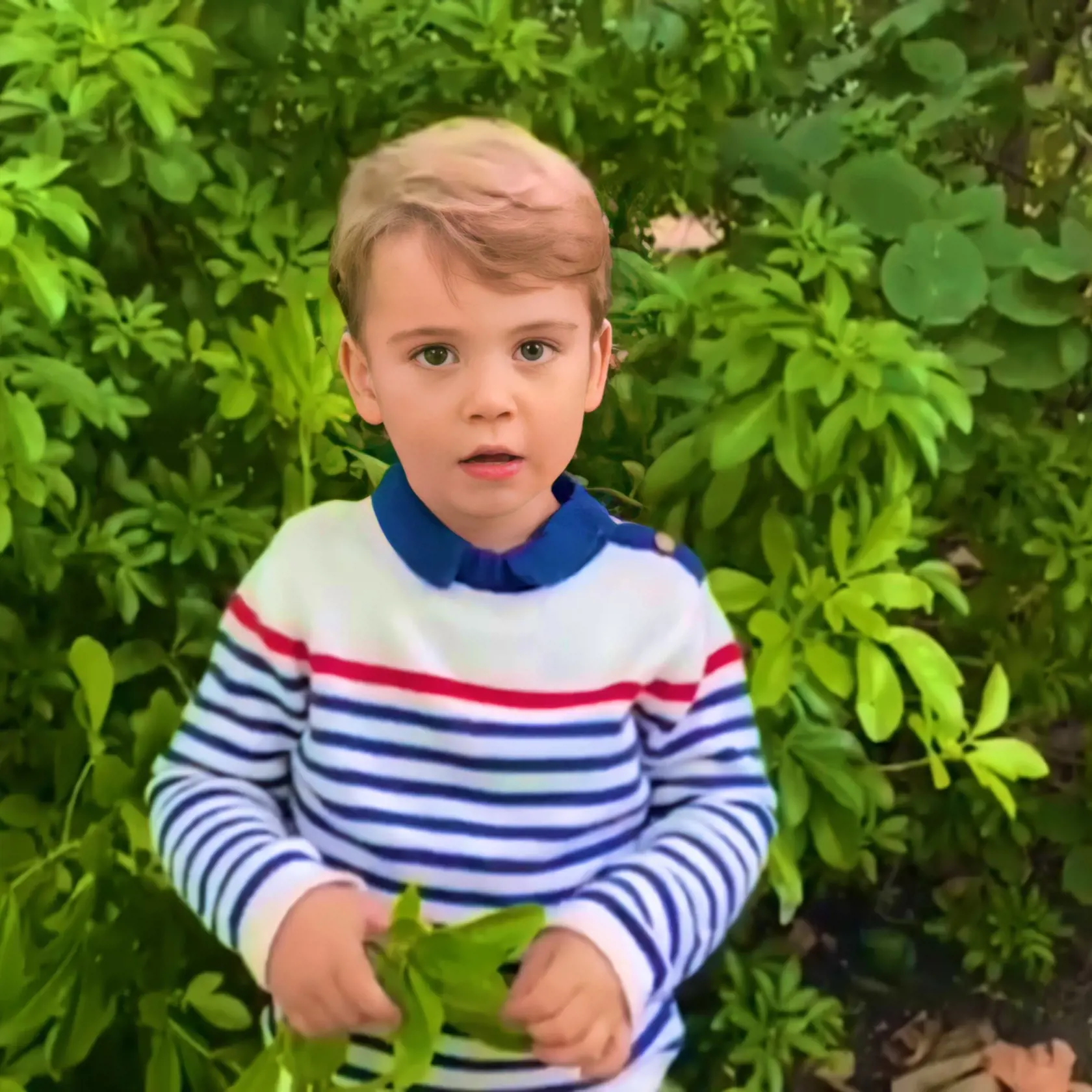 Roztomilí princ Louis.
