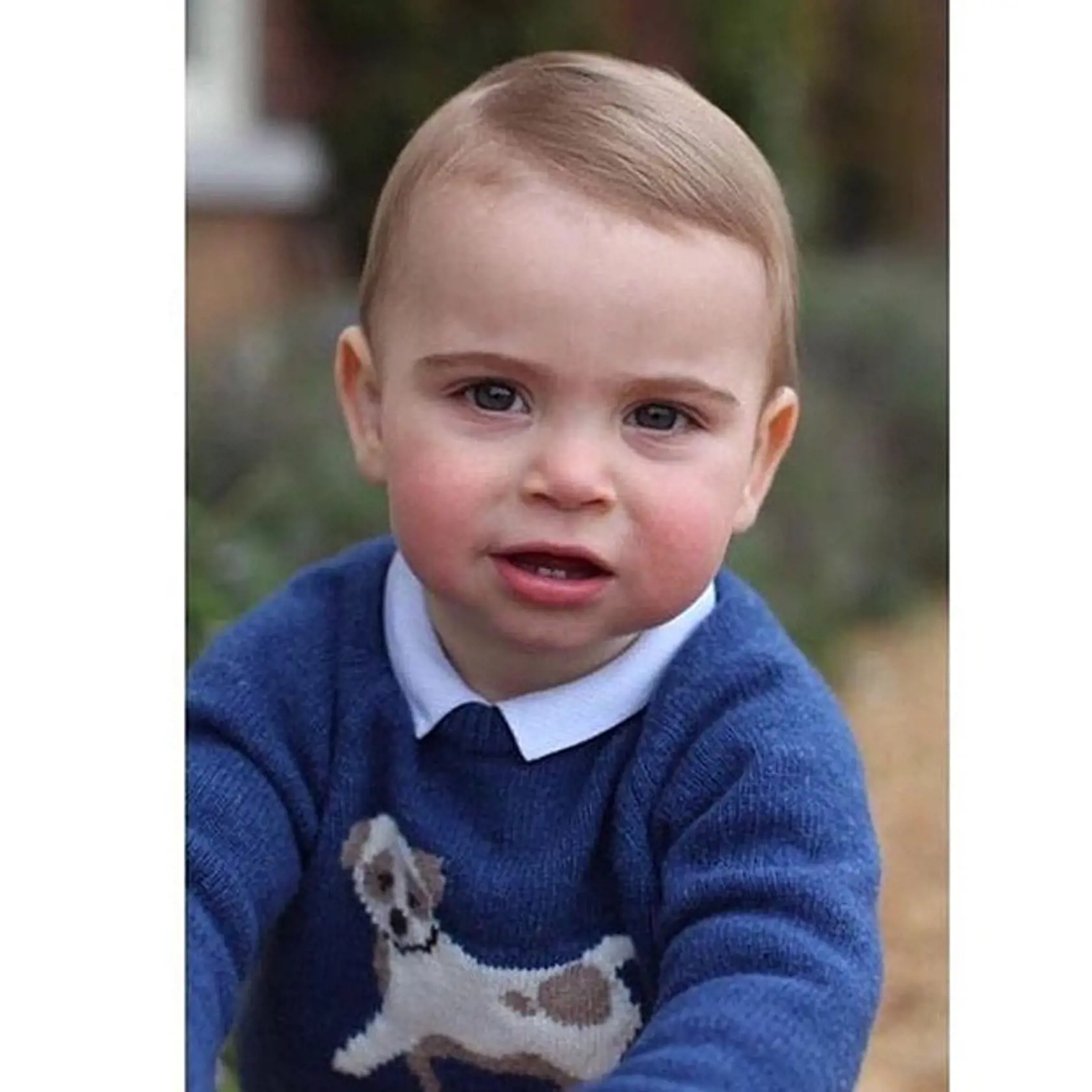 Princ Louis