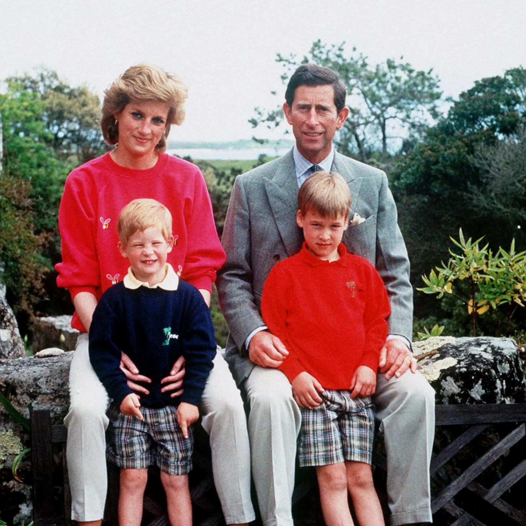 Princezná Diana, princ Charles a synovia William a Harry
