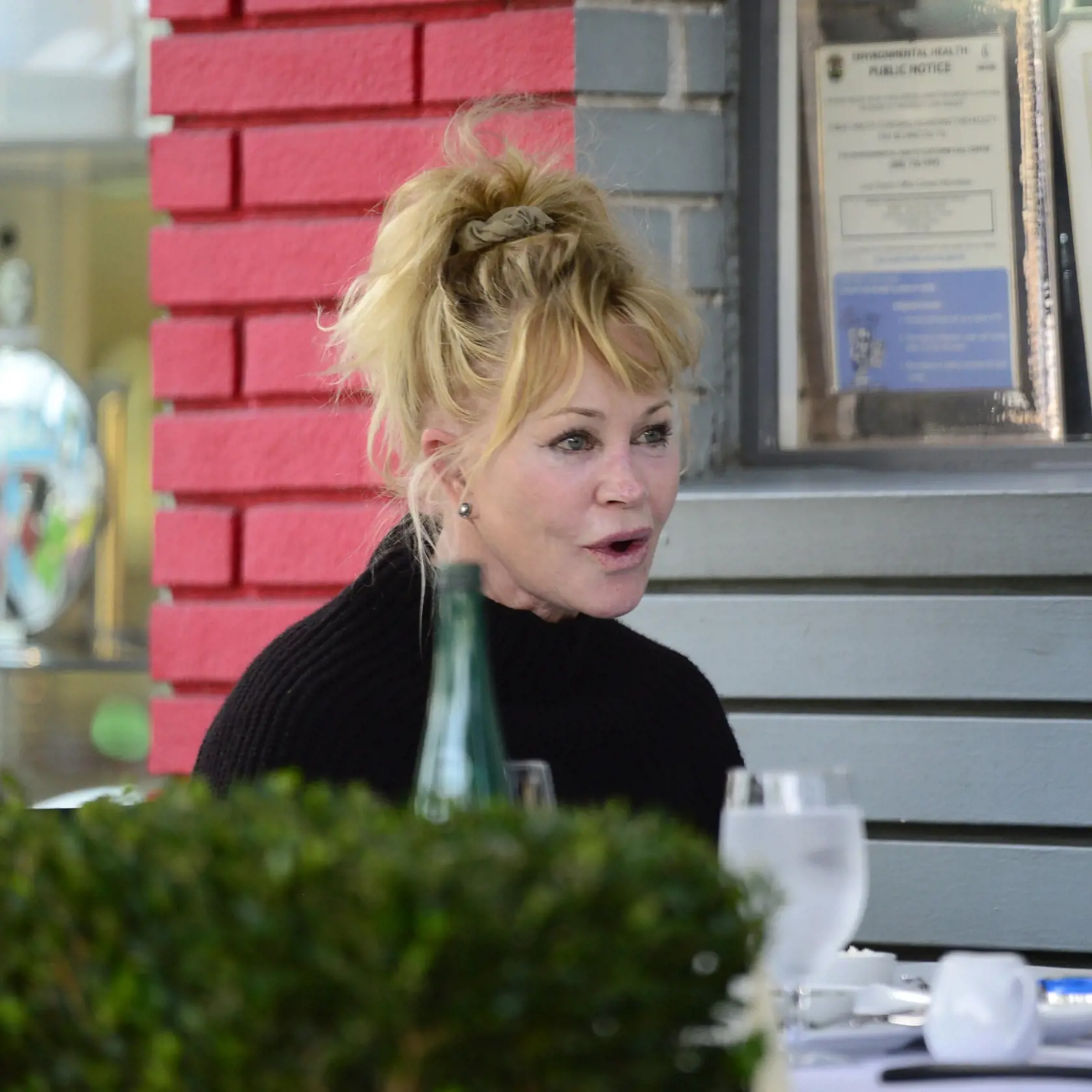 Melanie Griffith