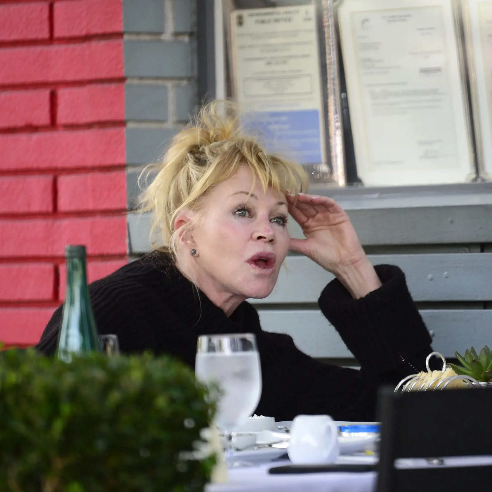 Melanie Griffith