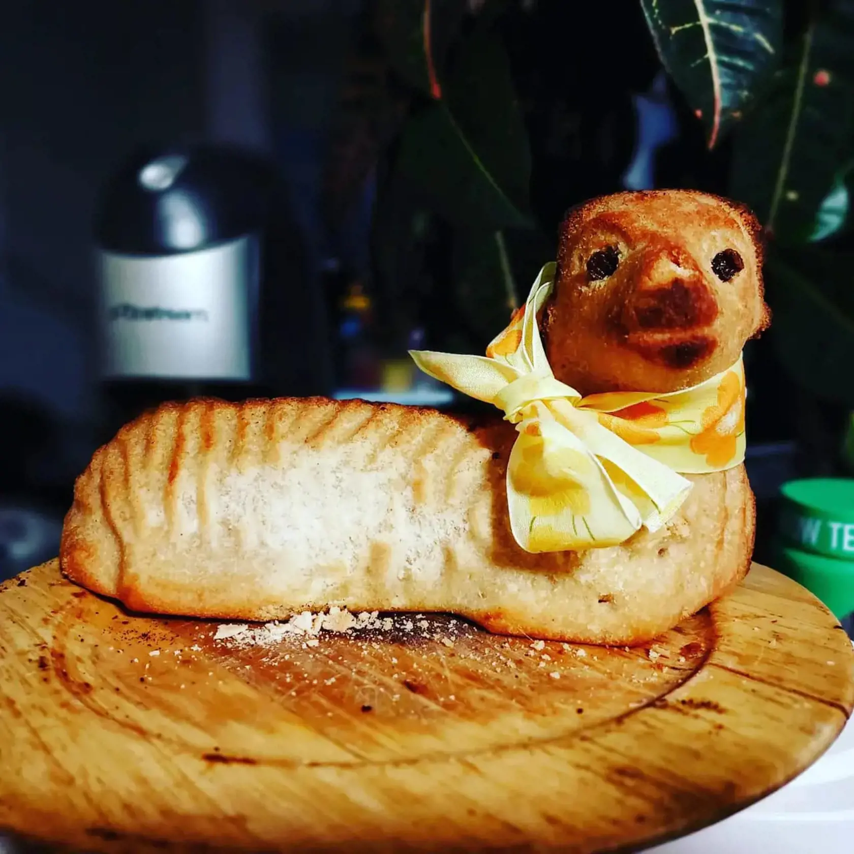 Veľkonočný baranček, či jazvečík?