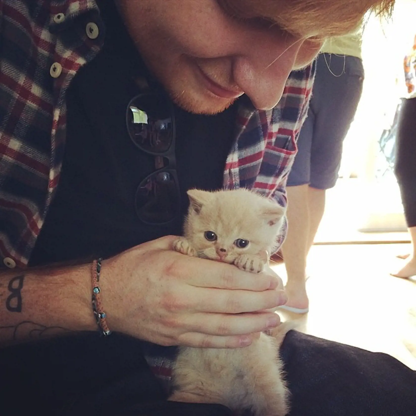 Ed Sheeran je milovník mačiek.
