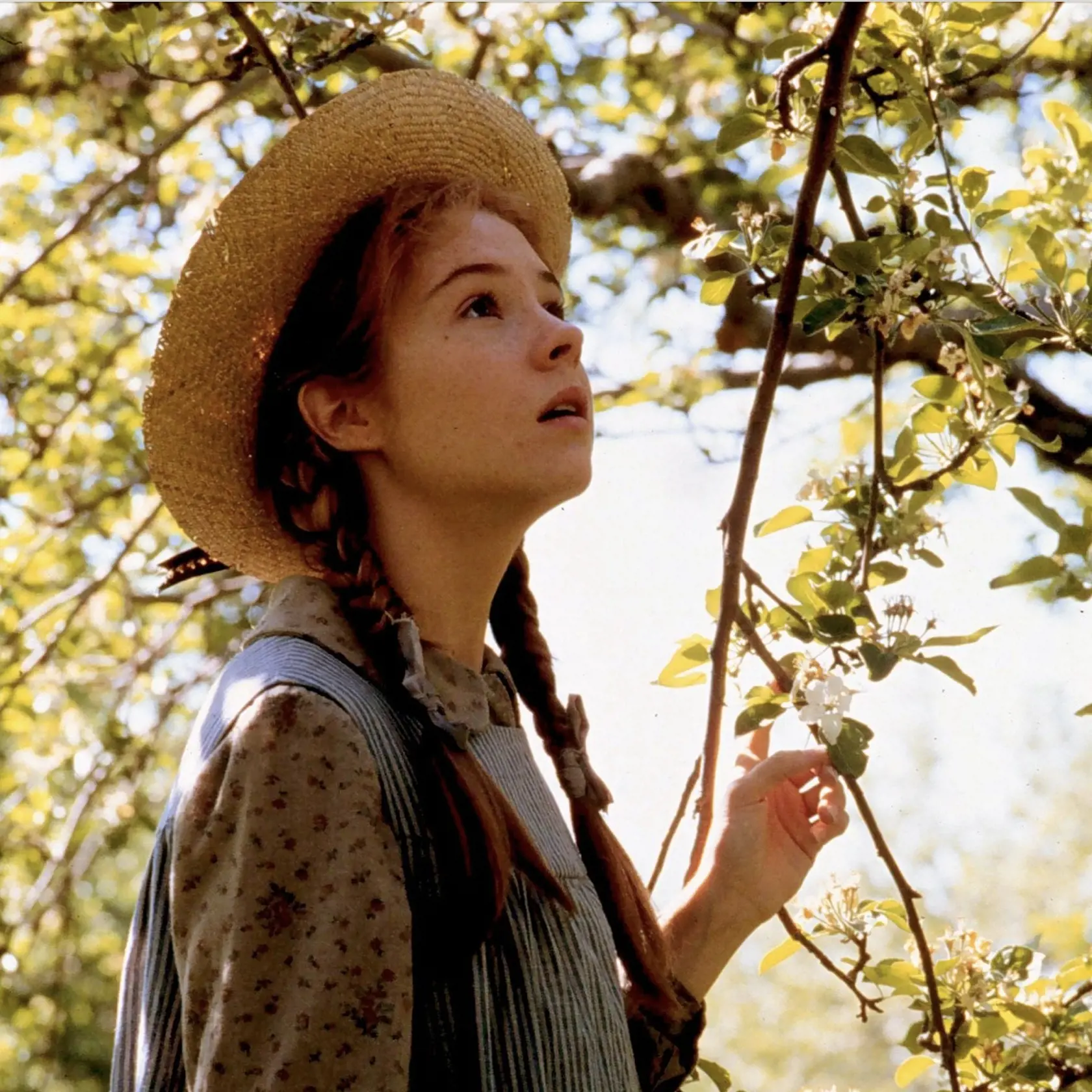 Megan Follows ako Anna Shirleyová.
