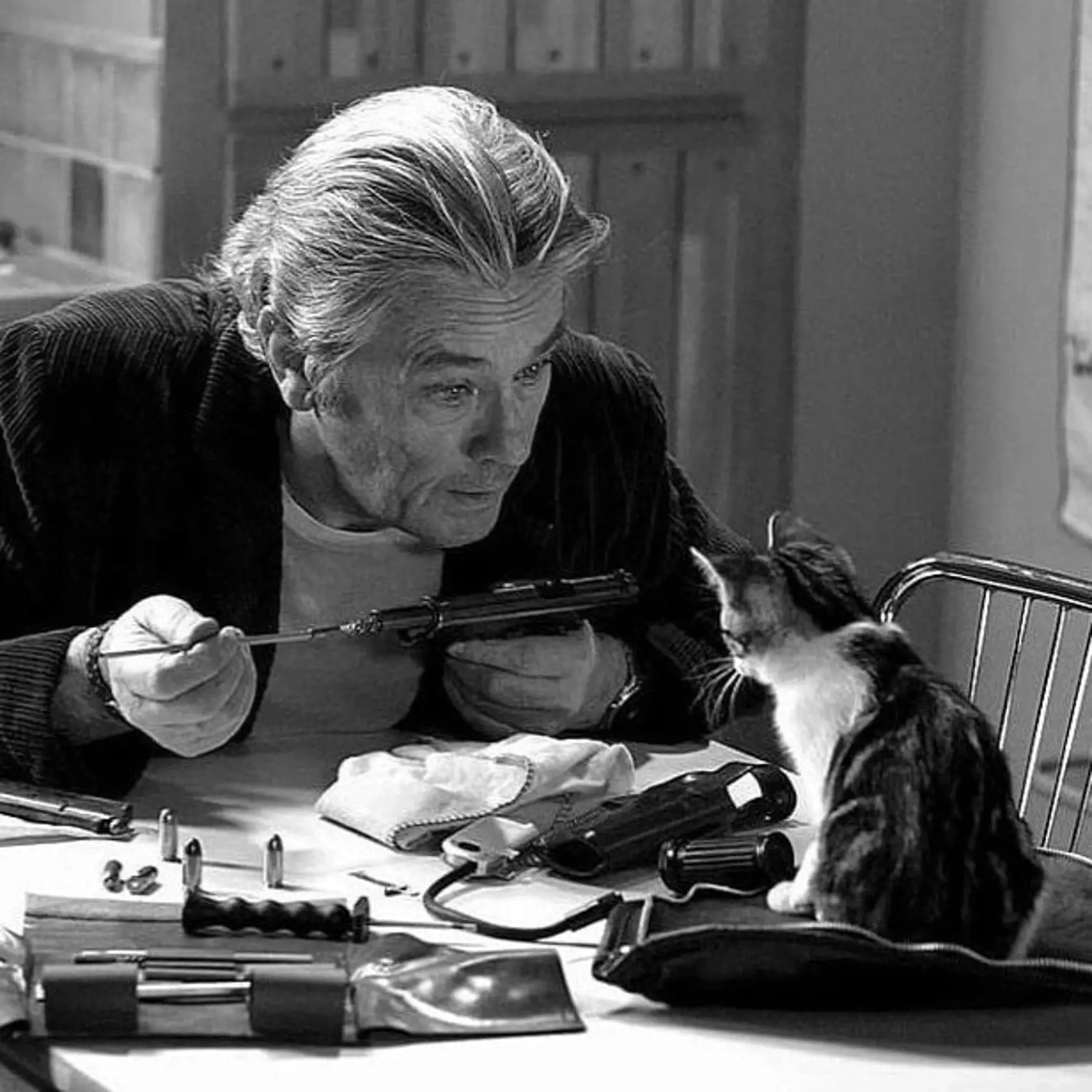 Alain Delon raz poslal svoj vrtuľník na záchranu mačiatka, ktoré prišlo o labky, a vzal si ho k sebe.