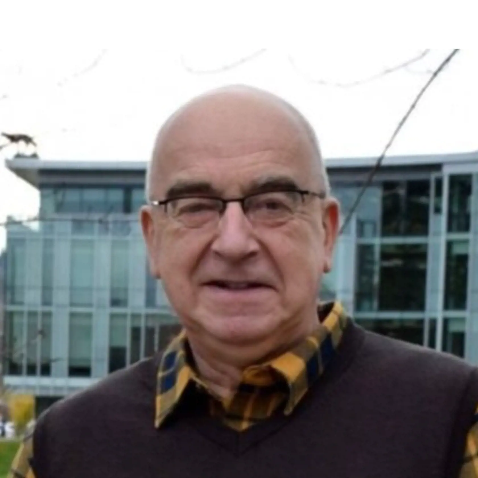 David Scheffel, kanadský univerzitný profesor, sa roky venuje antropologickému výskumu Rómov v osadách v obciach Svinia a Jarovnice, spolupracoval s Prešovskou univerzitou. 