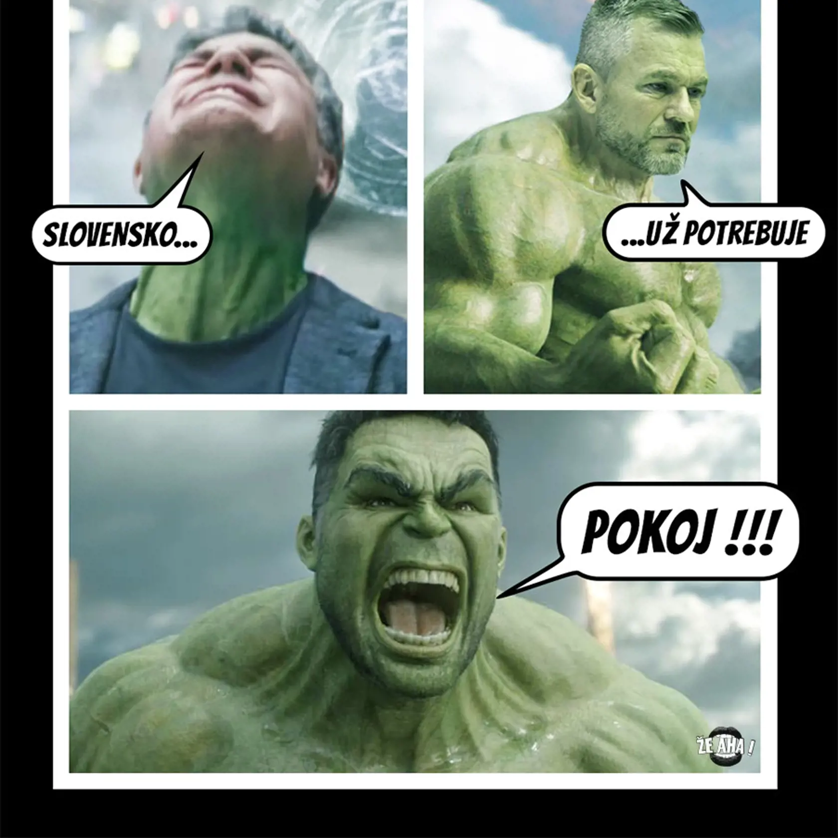 S tým pokojom to vyzerá vraj nádejne, Peter Pellegrini je novým prezidentom Slovenskej republiky.