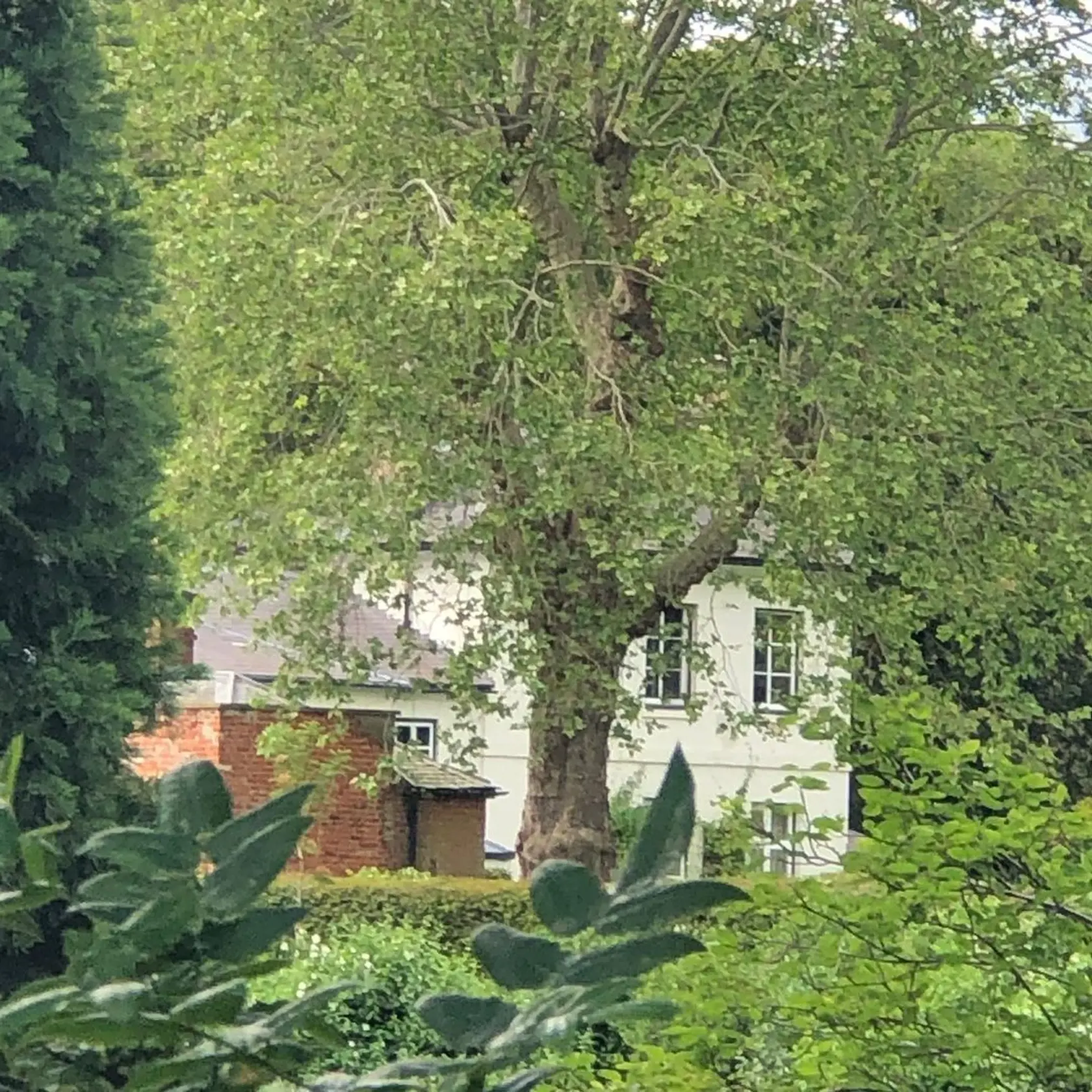 A nejde nám to do hlavy, keď vidíme, že takto sa im žilo v Anglicku. Vila Frogmore Cottage je dokonalá!