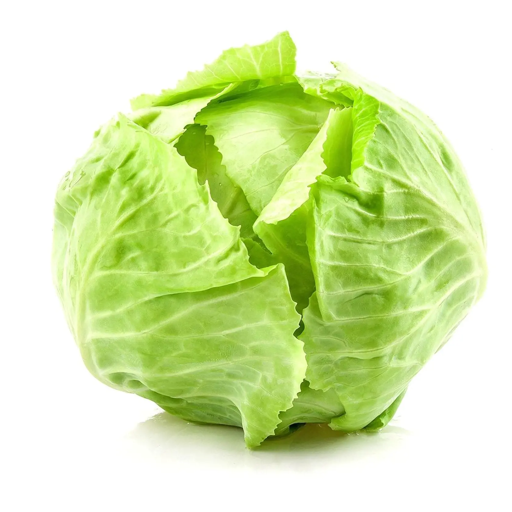 Mladá kapusta