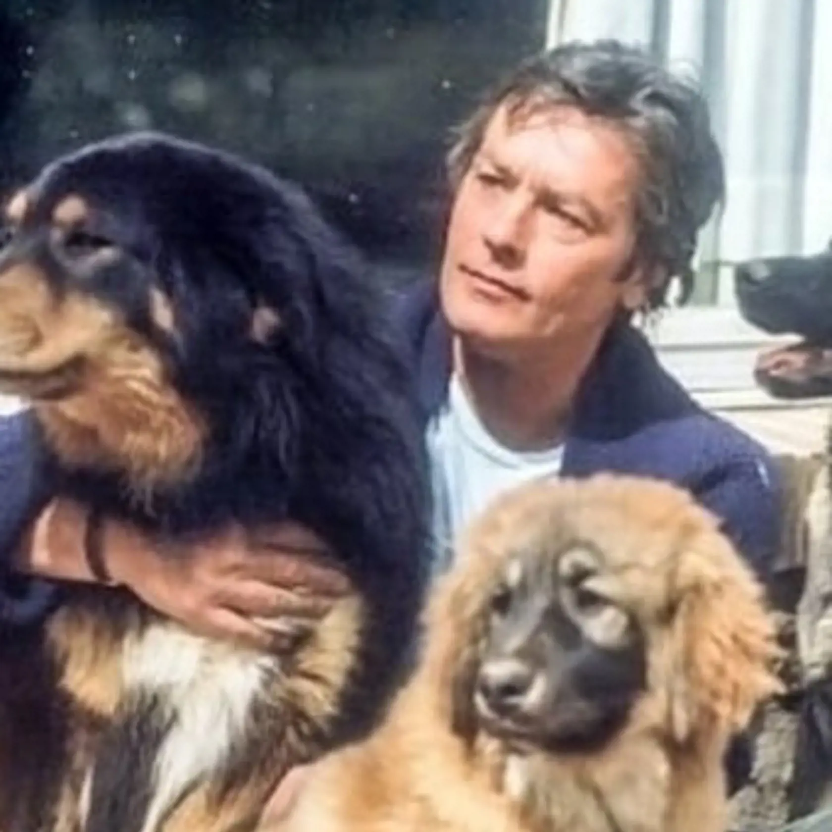 Alain Delon bojoval za práva zvierat.