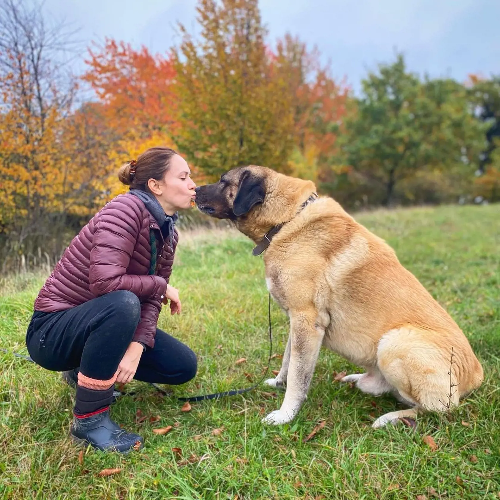 Lenka Vavrinčíková je milovníčka psíkov.