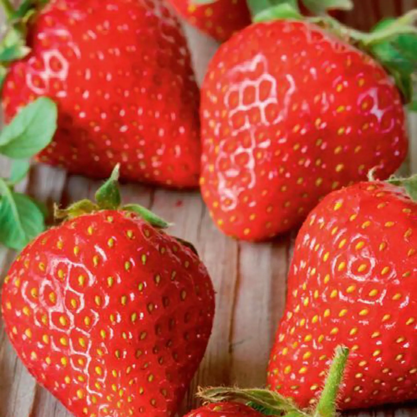 Strawberry dream