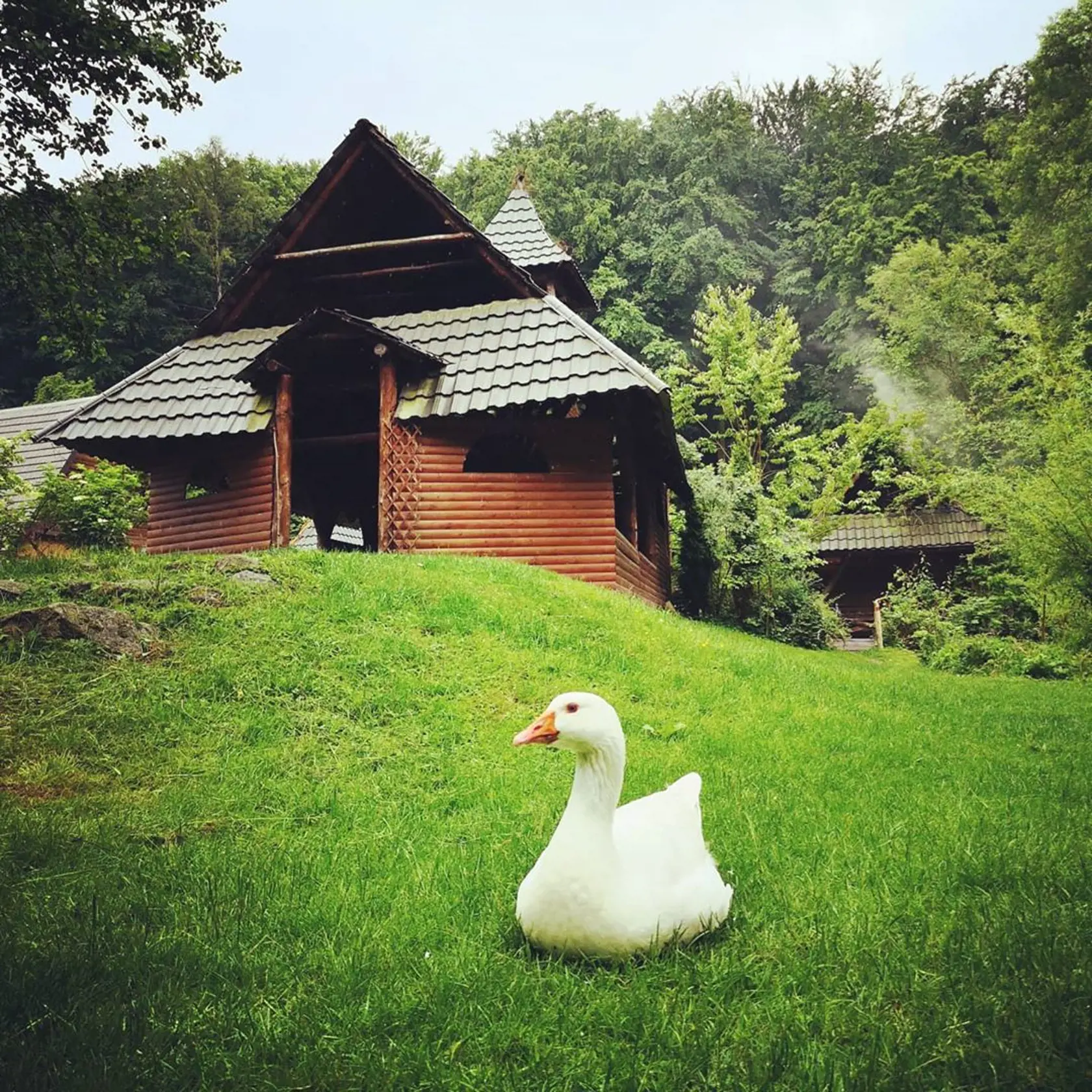 Mnohé scény z Uhorčíka sa nakrúcali v Abelande pri Lozorne
