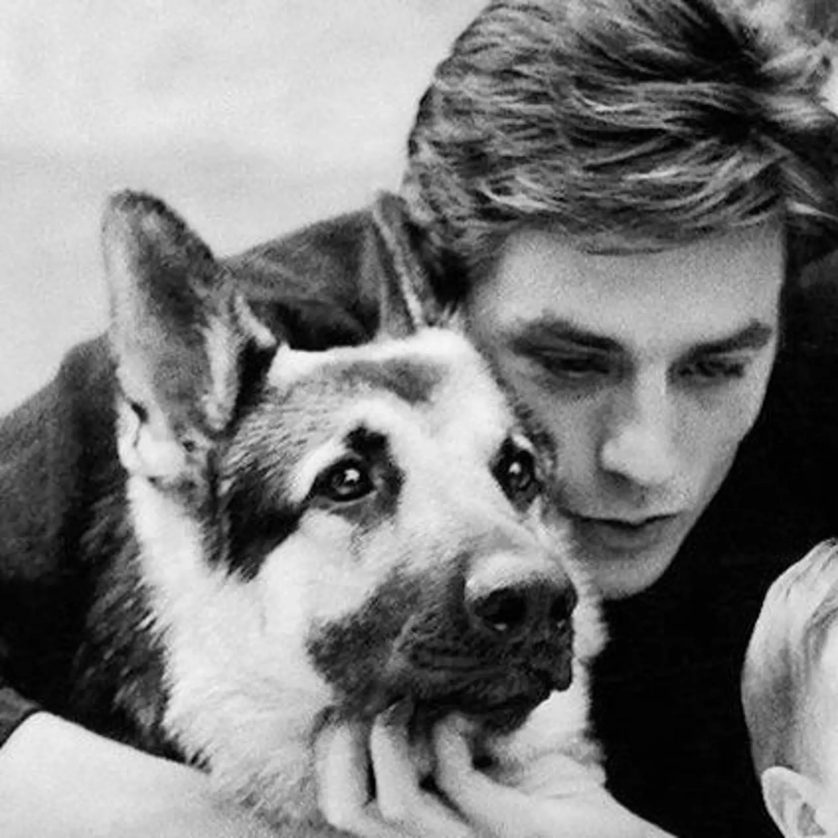 Alain Delon bol milovníkom psov: Niet čistejšej lásky, ako je láska psa, tvrdil.