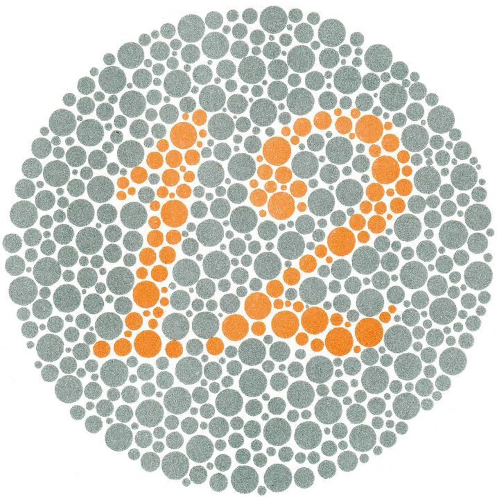 Číslo „12“ vidí zdravý človek a aj s poruchou