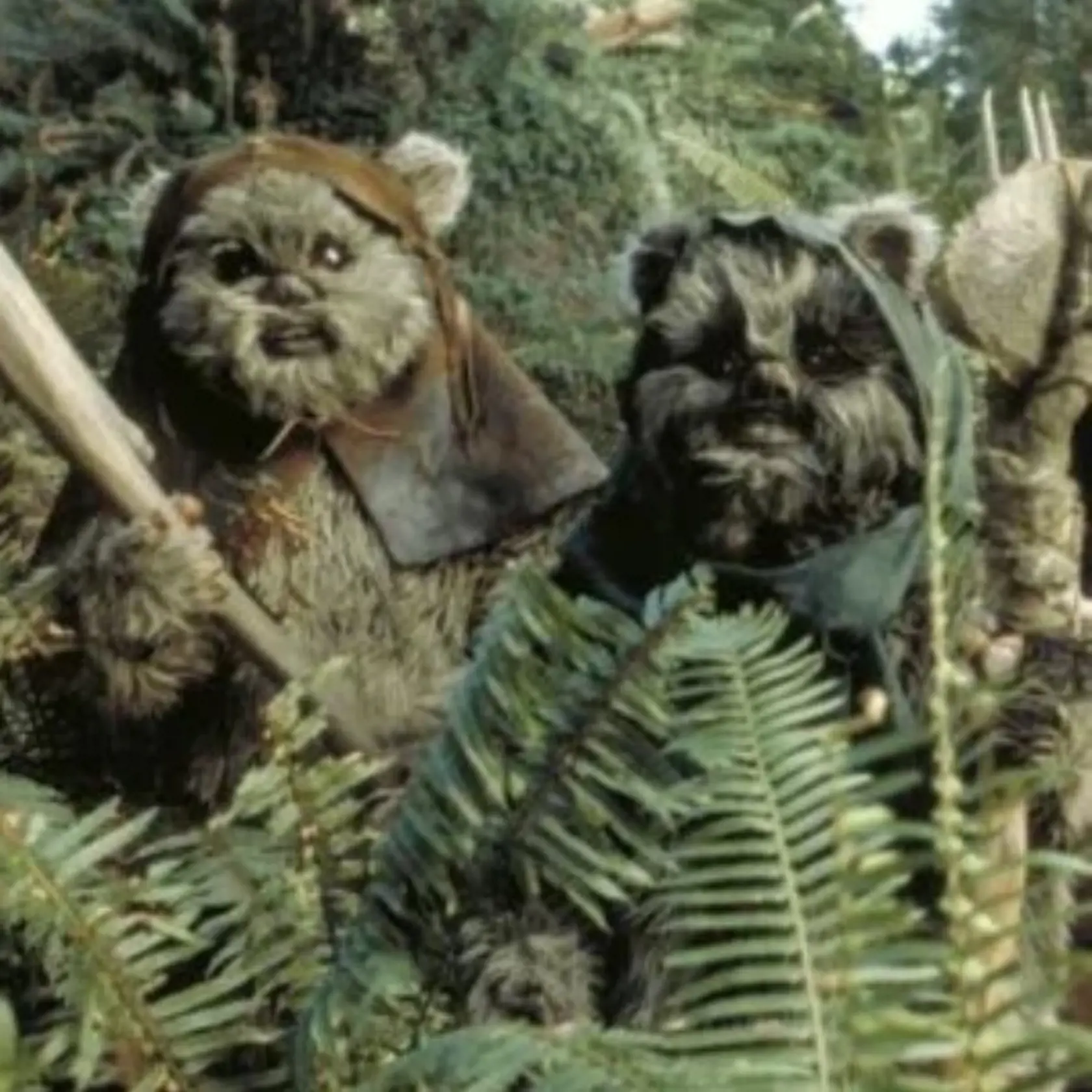 Herec, ktorý bol známy najmä vďaka úlohám škriatka v Gringottovej banke v sérii Harry Potter a vedľajšej postave v Star Wars: The Rise of Skywalker, bojoval so závislosťou od drog. V živote sa stretával s ťažkou závislosťou na marihuane a kokaíne. Svet obleteli snímky, kedy konzumuje vo veľkom drogy nielen doma, ale pokojne si šnupne nejaké to povzbudzovadlo priamo na ulici.
