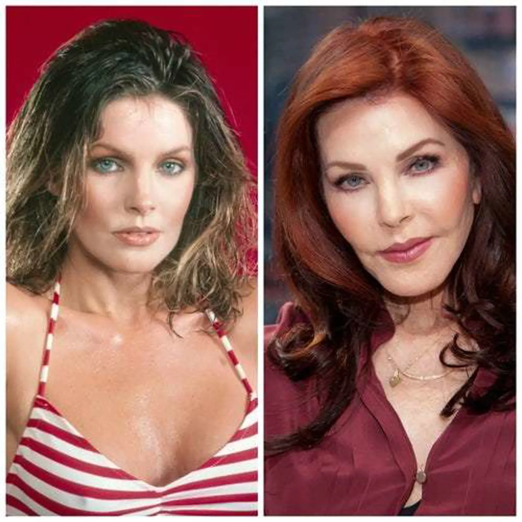 Priscilla Presley