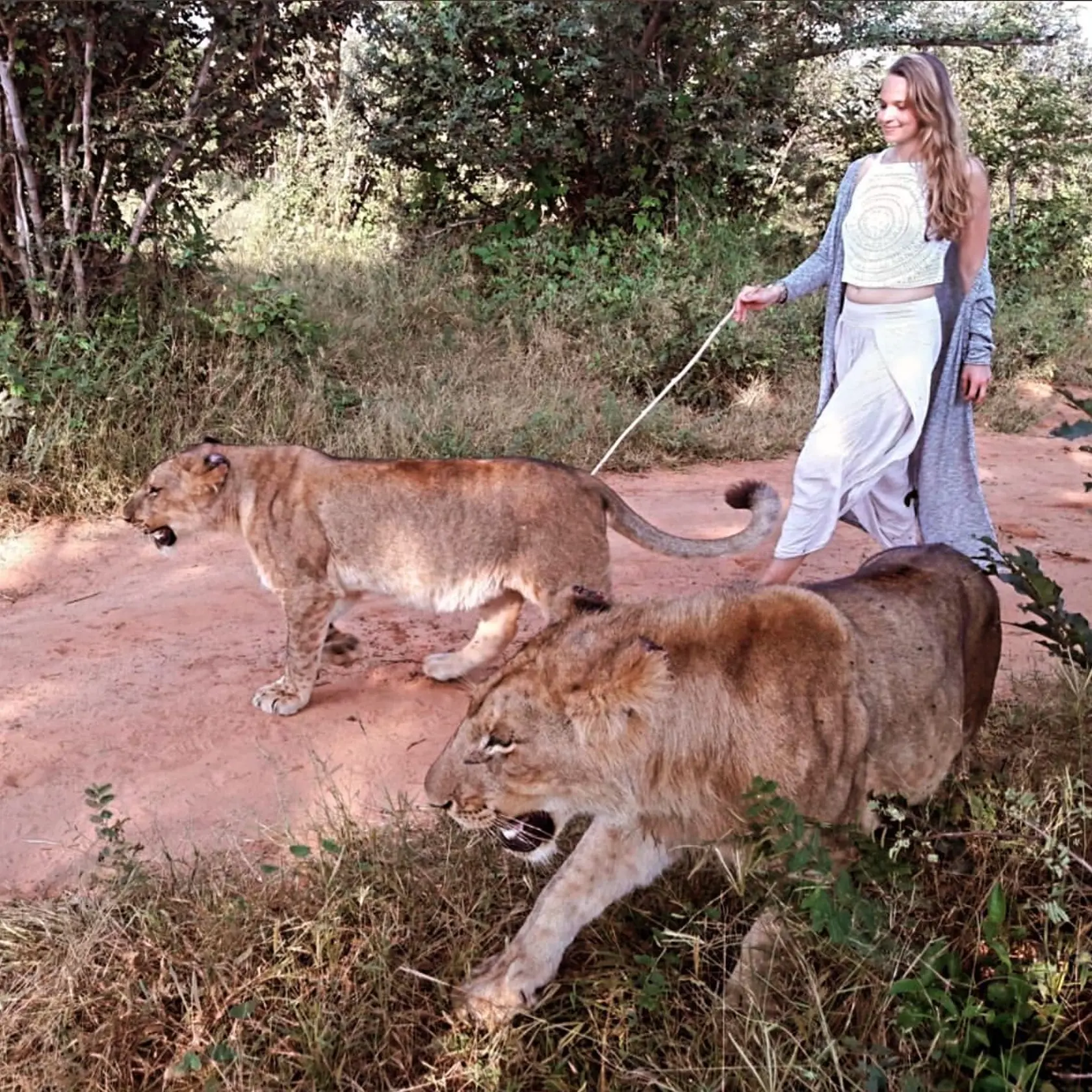 Romana Tabák si užila zájazd v Afrike a odfotila sa aj so šelmami.