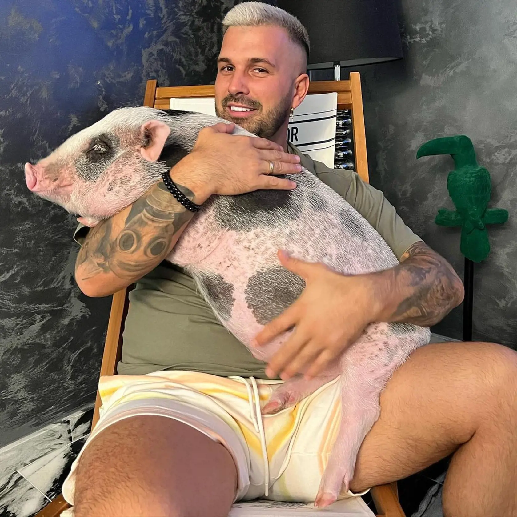 Nápadne biele zuby a dokonalé zuby má aj René Strausz.