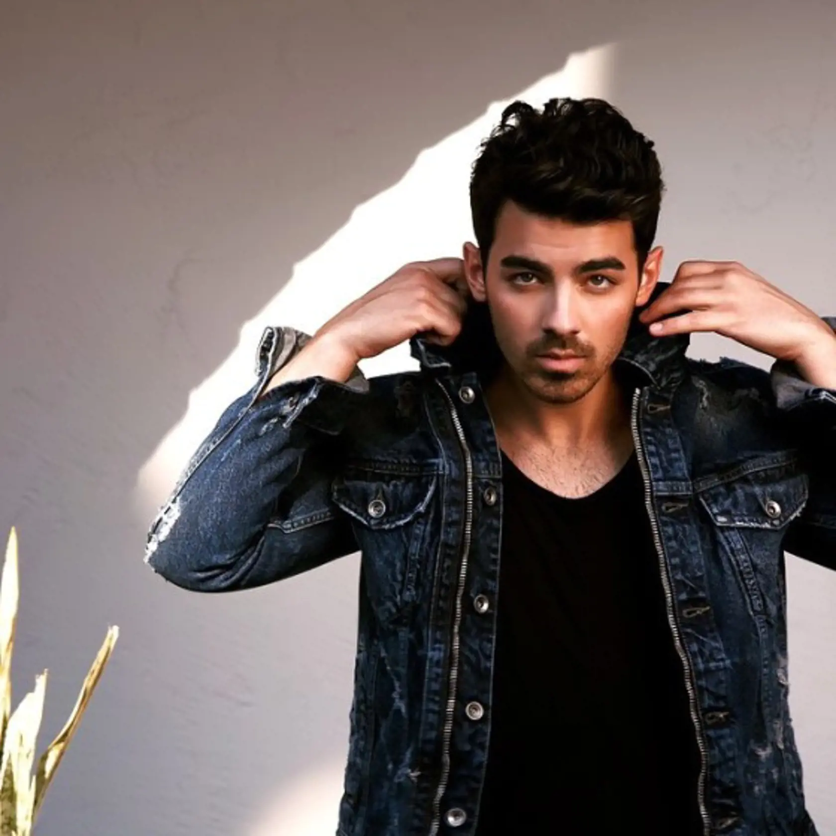 Joe Jonas dnes - všetci bratia Nick, Joe a Kevin Jonasovci známi ako Jonas Brothers sa rozhodli ostať panicmi až do svadby. Všetci traja na deklarovanie svojho predsavzatia nosili aj takzvané „prstene čistoty“, ktorými rozpútali hotovú módnu vlnu. Napokon svoj sľub dodržal len Kevin, jeho bratia sa postupne priznali, že neodolali pokušeniu.
