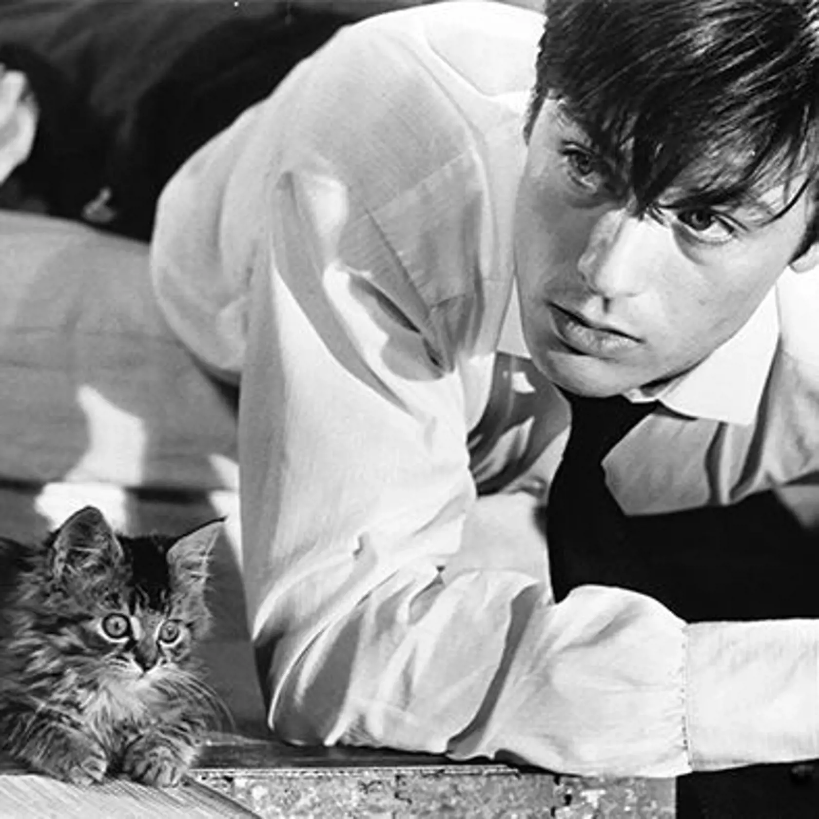 Alain Delon raz poslal svoj vrtuľník na záchranu mačiatka, ktoré prišlo o labky, a vzal si ho k sebe.