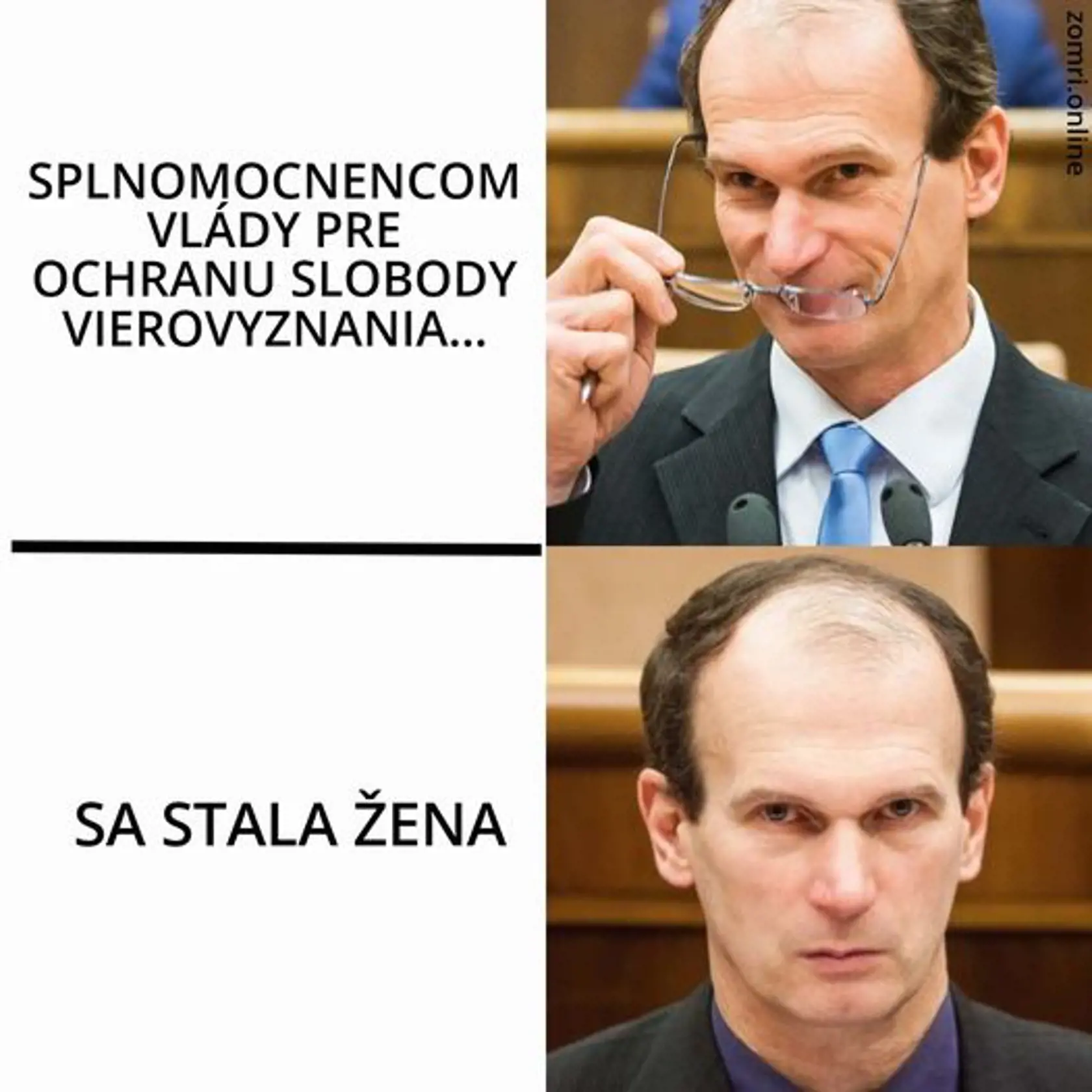 Vymenovanie konzervatívnej poslankyne Národnej rady Anny Záborskej do funkcie splnomocnenkyne vlády pre ochranu slobody vierovyznania spustilo lavínu vtipov