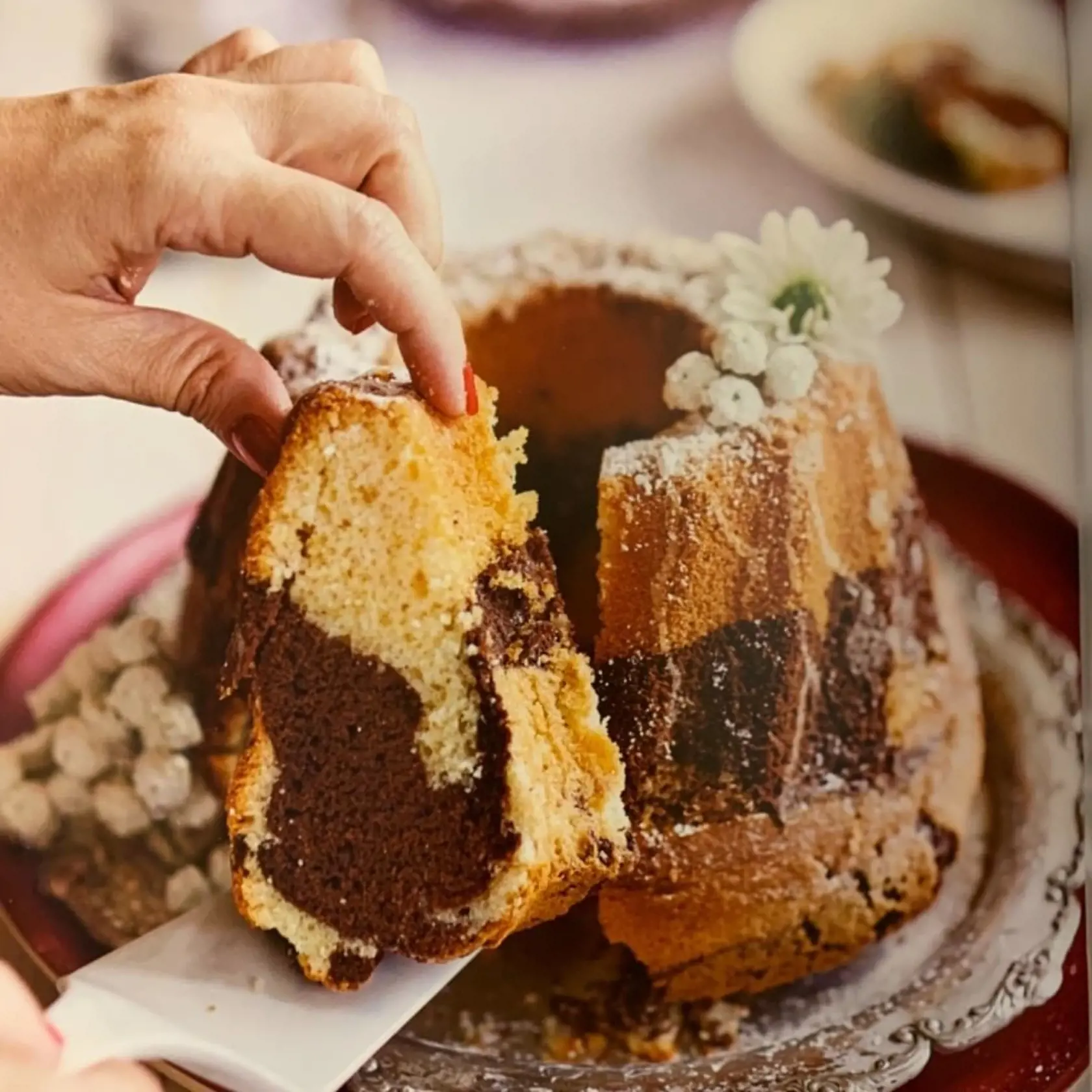 Aj recept na túto Katkinu skvelú bábovku nájdete v jej knižke.