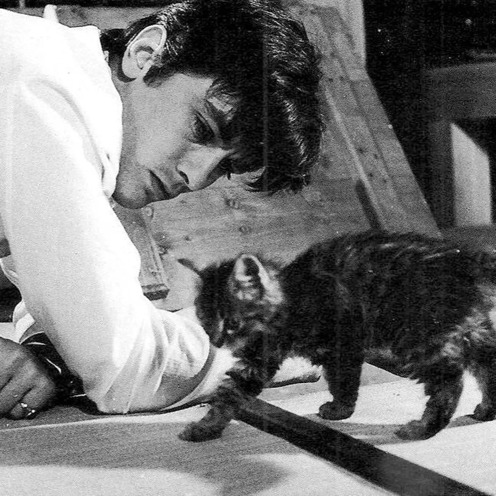 Alain Delon raz poslal svoj vrtuľník na záchranu mačiatka, ktoré prišlo o labky, a vzal si ho k sebe.