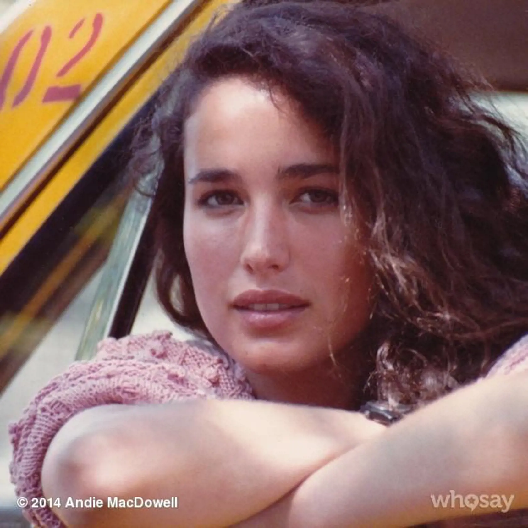 Mladá Andie MacDowell
