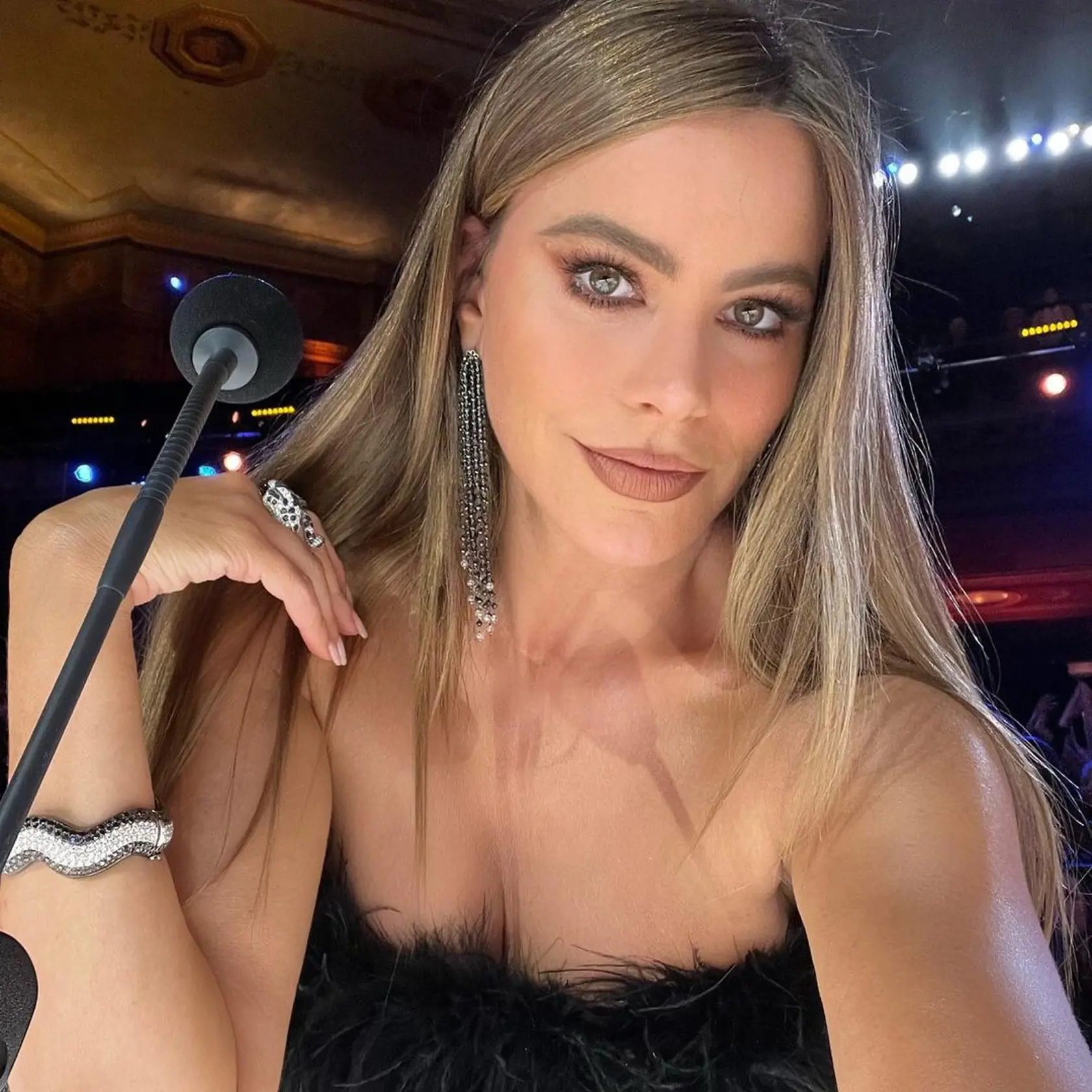 Herečka Sofia Vergara