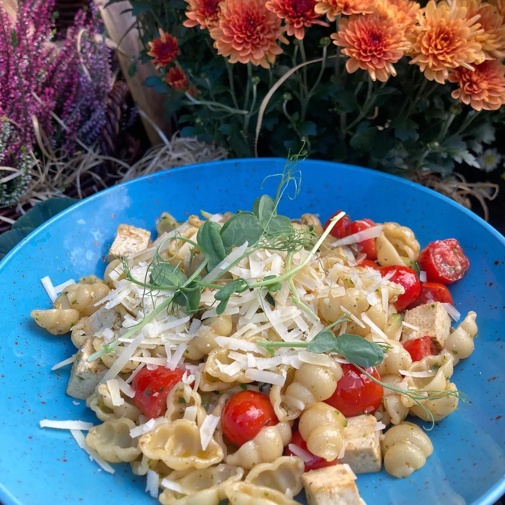 Nielen mäsom je človek živý. Cestoviny s cuketou, paradajkou, tofu, bazalkou a parmezánom si určite dajú nielen vegetariáni.