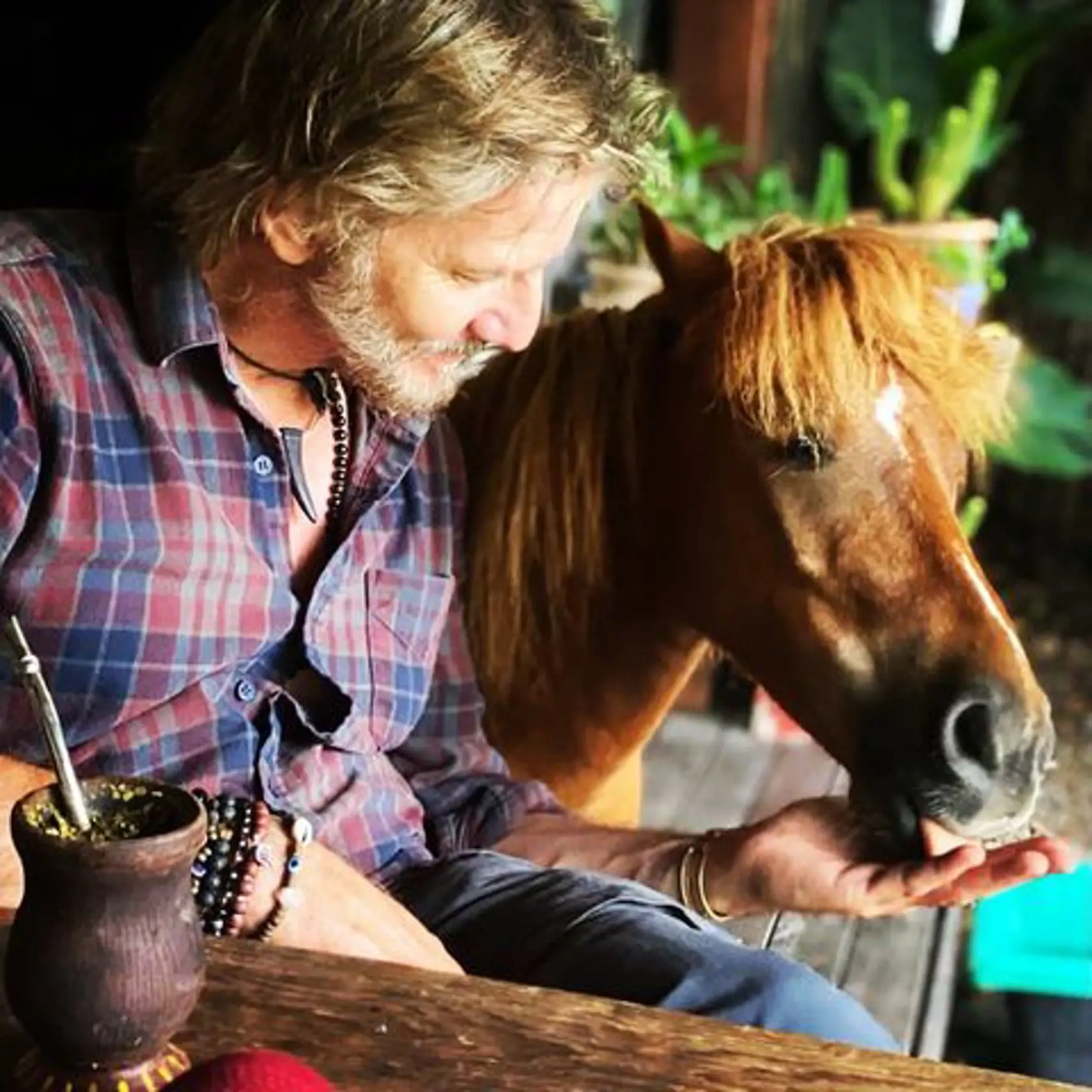 Facundo Arana (48) – Ivo
Dlhovlasý nosáň si s Nataliou Oreiro nezahral len v Divokom anjelovi. Ich jedinečná chémia dvojici vyniesla obsadenie do hlavných úloh do ďalšej telenovely, Rany z lásky (2006 - 2007). Aj keď im to na kamere veľmi pristalo, nakoniec išli každý svojím vlastným smerom, hoci oboch okrem herectva spája aj láska k hudbe. Zatiaľ čo Natalia je úspešnou speváčkou, Facundo hrá na saxofón vo vlastnej skupine.