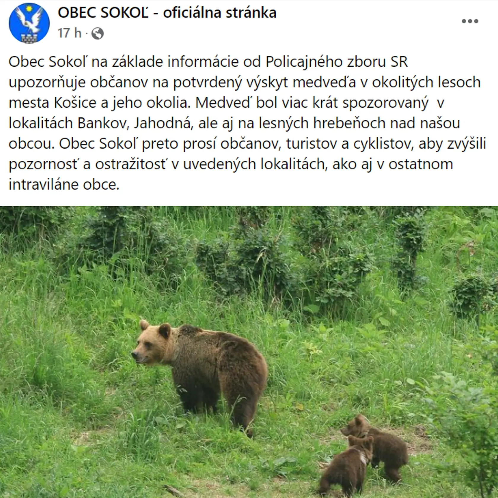 Obec Sokoľ na základe informácie od Policajného zboru SR upozorňuje občanov na potvrdený výskyt medveďa v okolitých lesoch mesta Košice a jeho okolia.