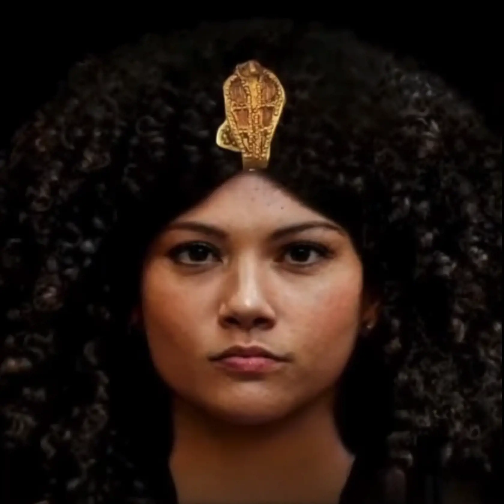 Ahmose-Nefertari bola prvá kráľovná 18. dynastie v starovekom Egypte, dcéra faraóna Sekenenre Taa a Ahhotep I. a veľká kráľovská manželka a sestra faraóna Ahmosa I. Je možné, že pred uzavretím sobáša bola manželkou faraóna Kamosa.. Pravdepodobne bola pochovaná v Dragu Abu el-Naga. Hrobka bola zrejme vyplienená vykrádačmi hrobov a na konci Novej ríše bola jej múmia presunutá do hrobky v Dér el-Bahrí. V roku 1885 ju našiel Emil Brugsch.