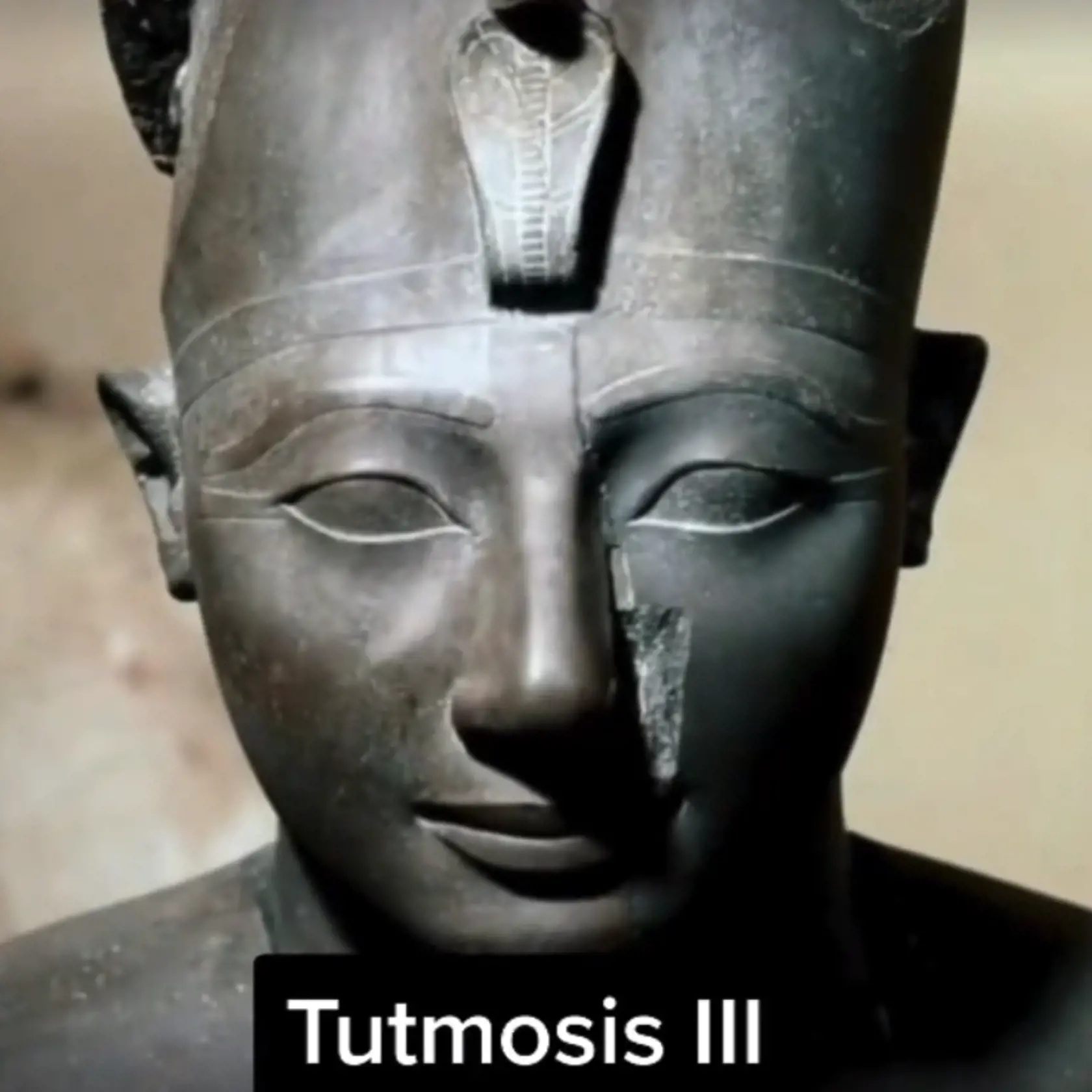 Thutmose III. (trónne meno: Mencheperre) bol faraón v starovekom Egypte. Patrí do 18. dynastie a bol v poradí šiestym faraónom tejto dynastie. Vládol v rozmedzí približne 1479 pred Kr.-1425 pred Kr.