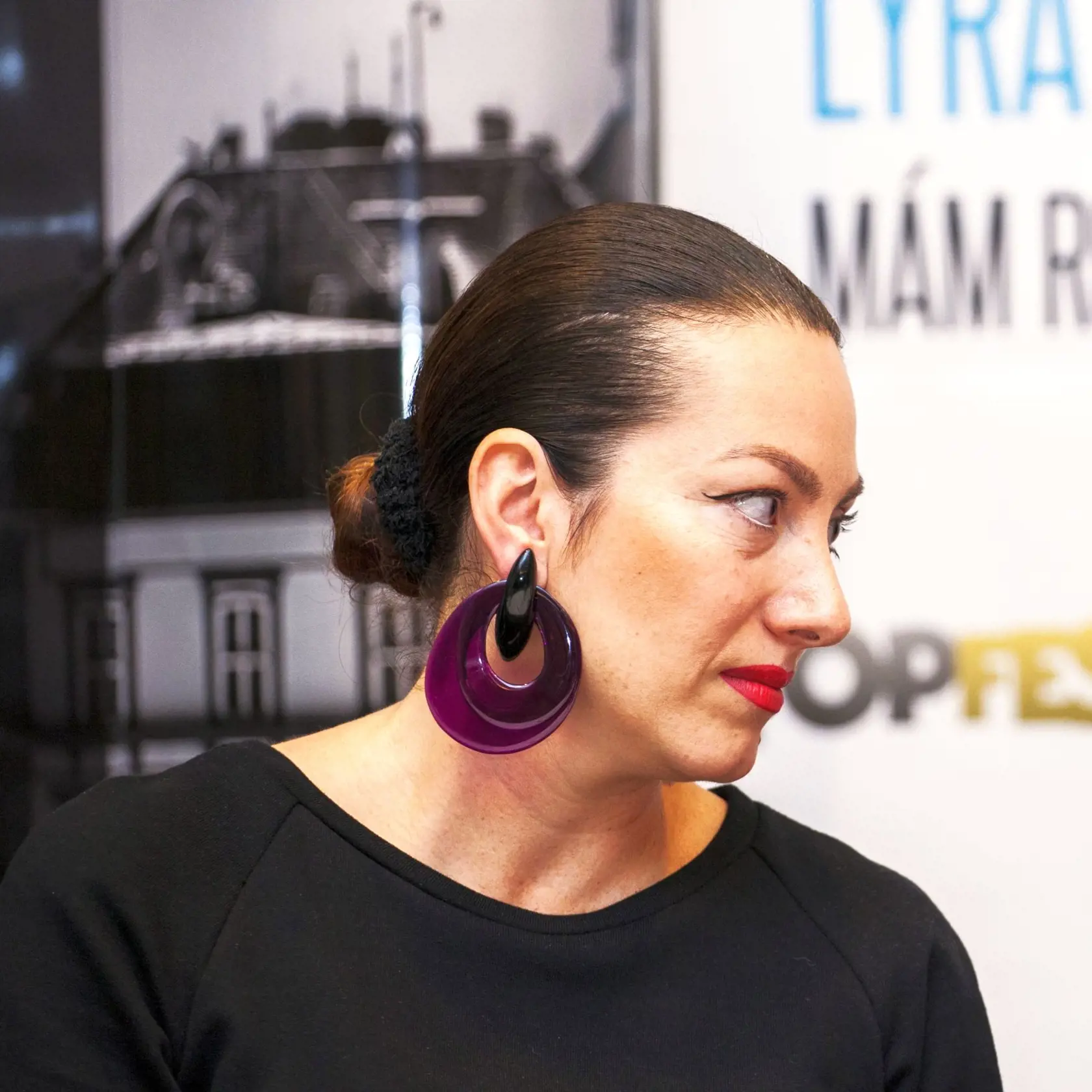 Tlačová konferencia ku koncertu Lýra 50 - mám rozprávkový dom.