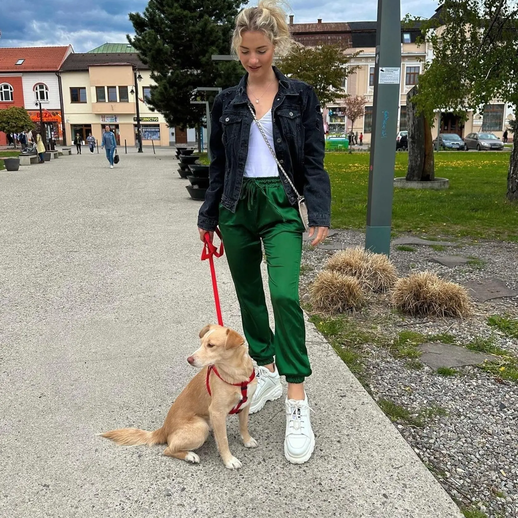 Hoci by dala prednosť šoubiznisu, vždy pre zvieratá tu bude vždy, tvrdí pôvabná Mirka.