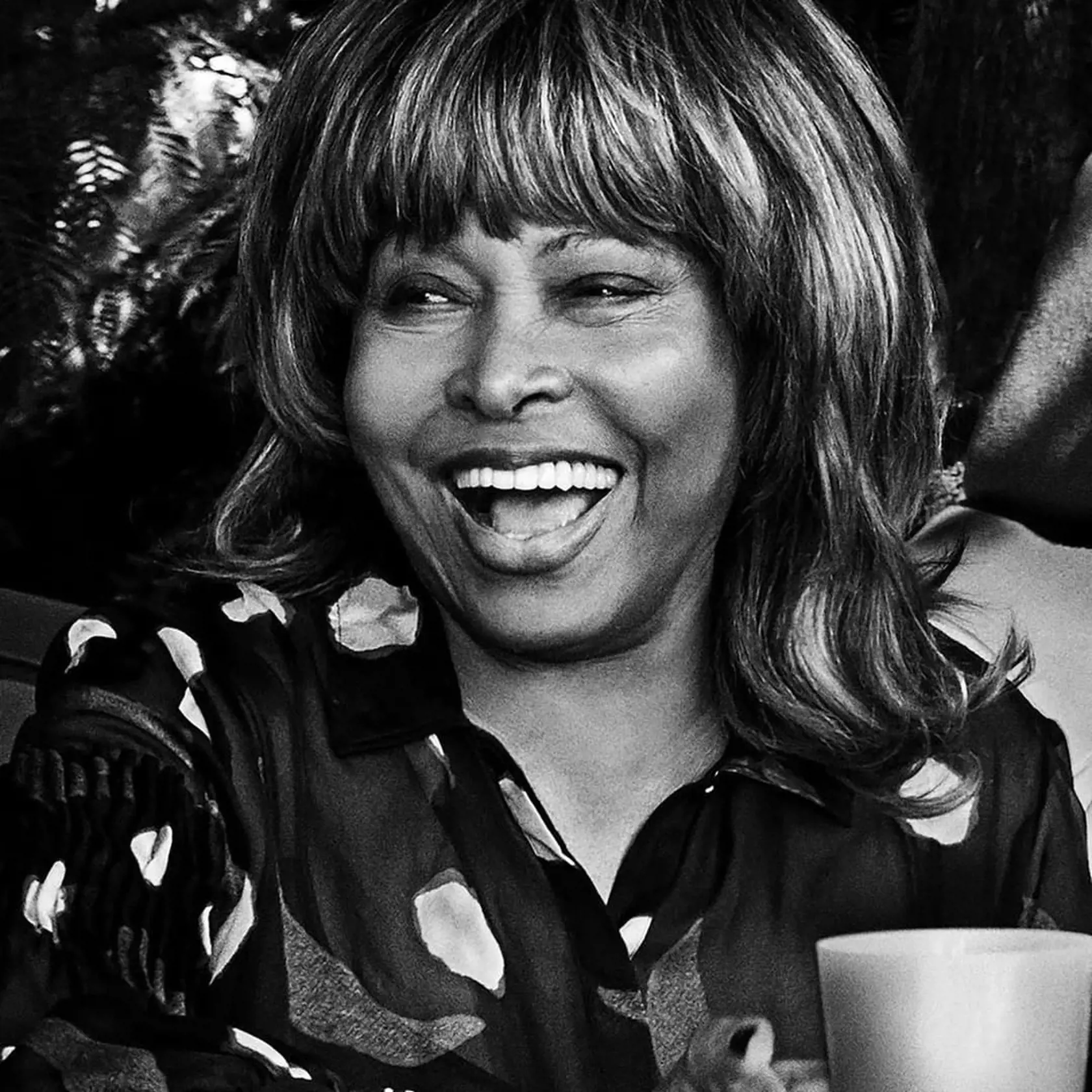 Speváčka Tina Turner