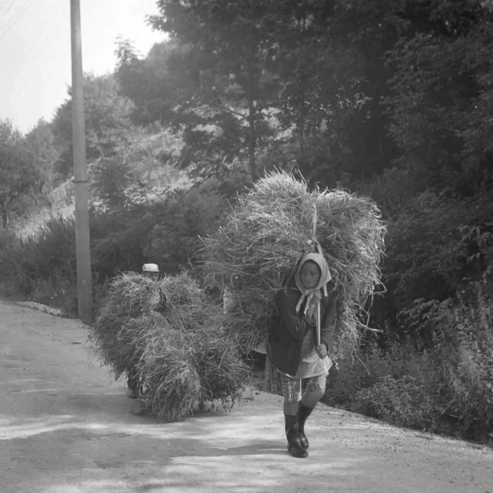 Muž so ženou z Hačavy v okrese Košice - okolie  zvážajú a znášajú slamu z poľa. Záber pochádza z roku 1976.