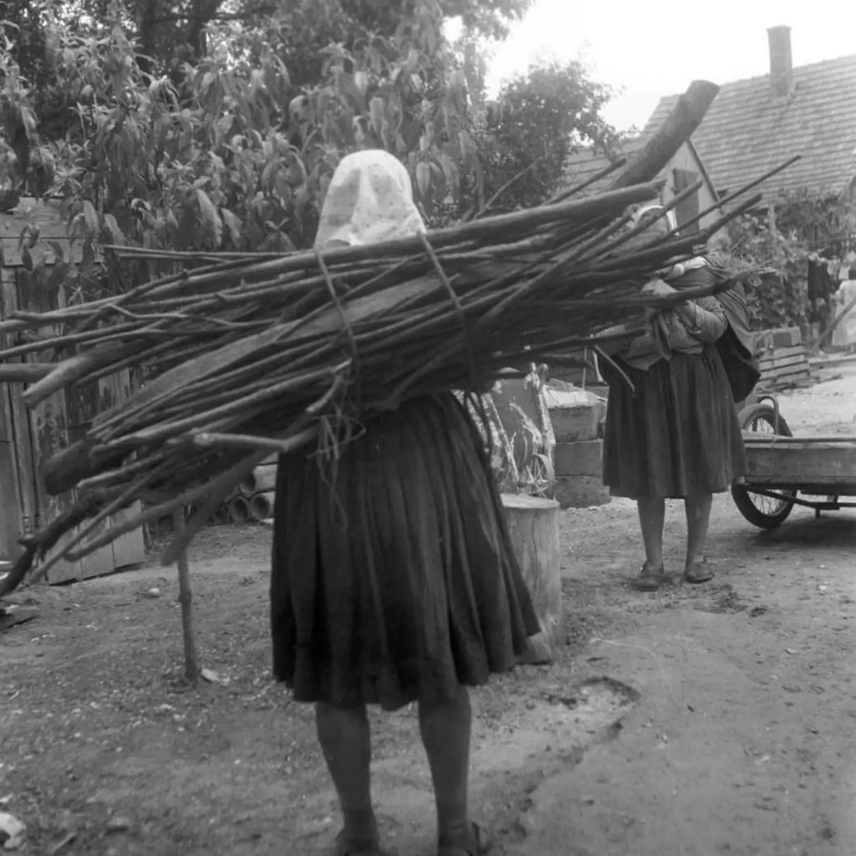 Na zábere z roku 1971 sú dve ženy z obce Brodské. Obidve majú na chrbte nošu. Zatiaľ čo jedna nesie drevo, druhá má v plachte nejakú zelinu.