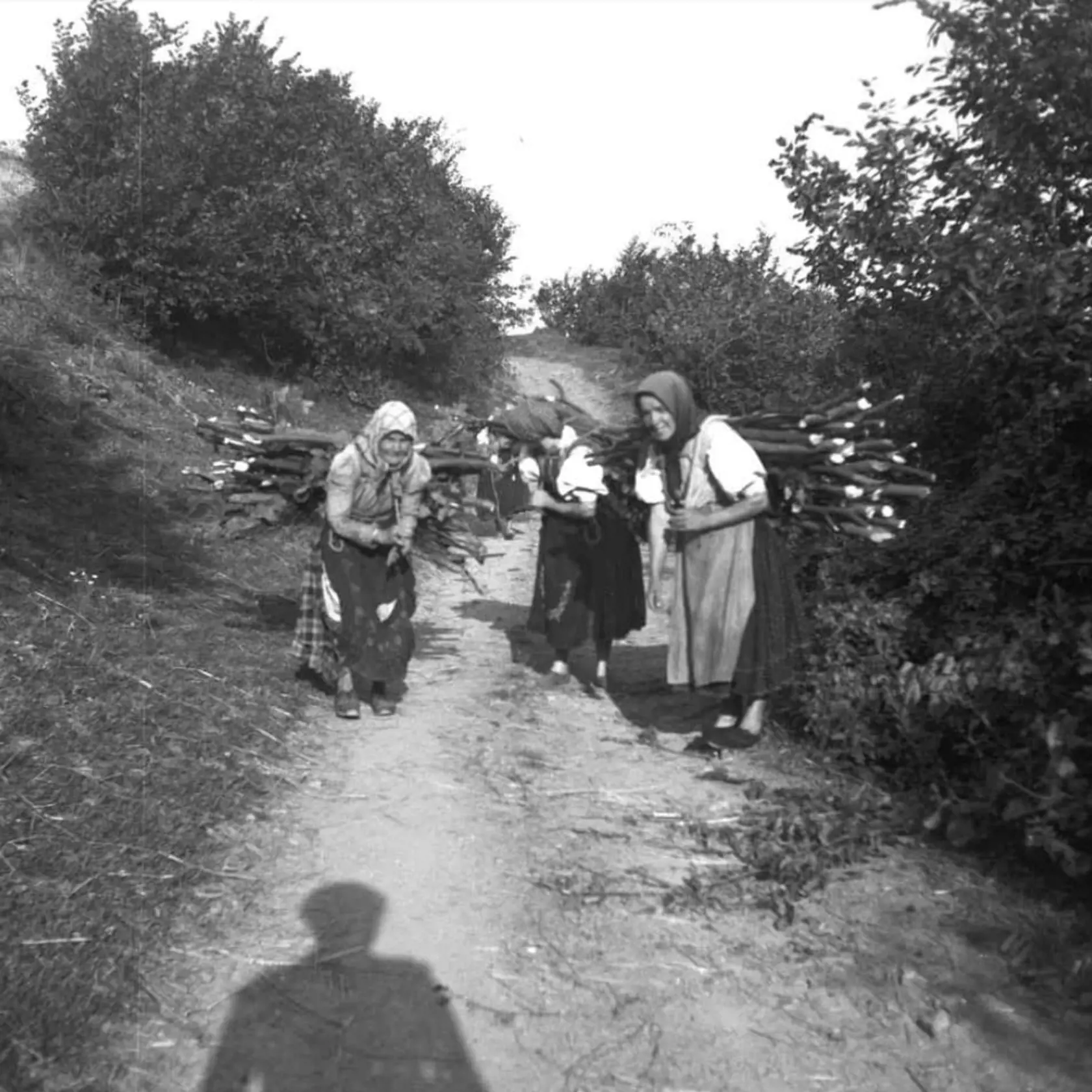 Tento záber žienok z dediny Žakarovce v okrese Gelnica vznikol v roku 1953. Predpokladáme, že už ani jedna zo stareniek nežije. Bolo by zaujímavé, keby porozprávali dnešnej mládeži, ako sa vtedy ťažko žilo.